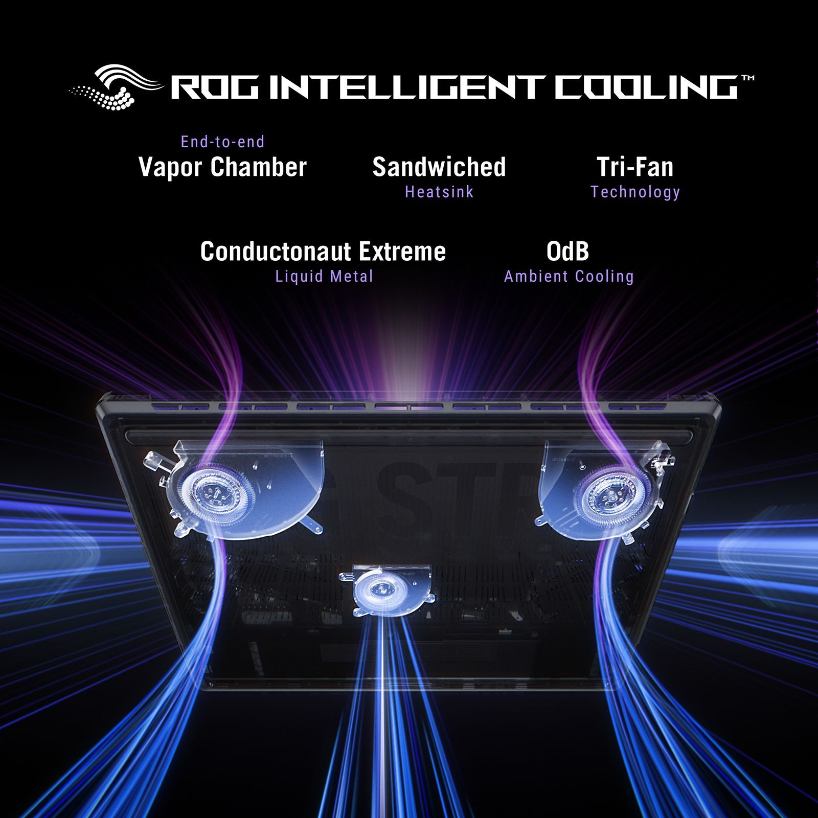 ASUS ROG Strix SCAR 16 G635LW-RW157WS Intel Core Ultra 9 Gaming Laptop (32GB, 2TB SSD, Windows 11 Home, 16GB Graphics, 16 inch 240 Hz 2.5K WQXGA Mini LED Display, NVIDIA GeForce RTX 5080, MS Office Home 2024, Off Black, 2.8 KG)_13