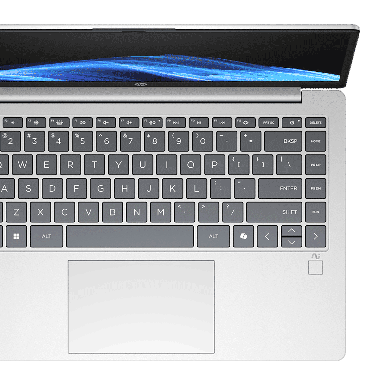 HP OmniBook 3 14-ha0000AU AMD Ryzen AI 5 Thin & Light Laptop (16GB, 512GB SSD, Windows 11 Home, 14 inch Full HD Display, Glacier Silver, 1.47 KG)_3