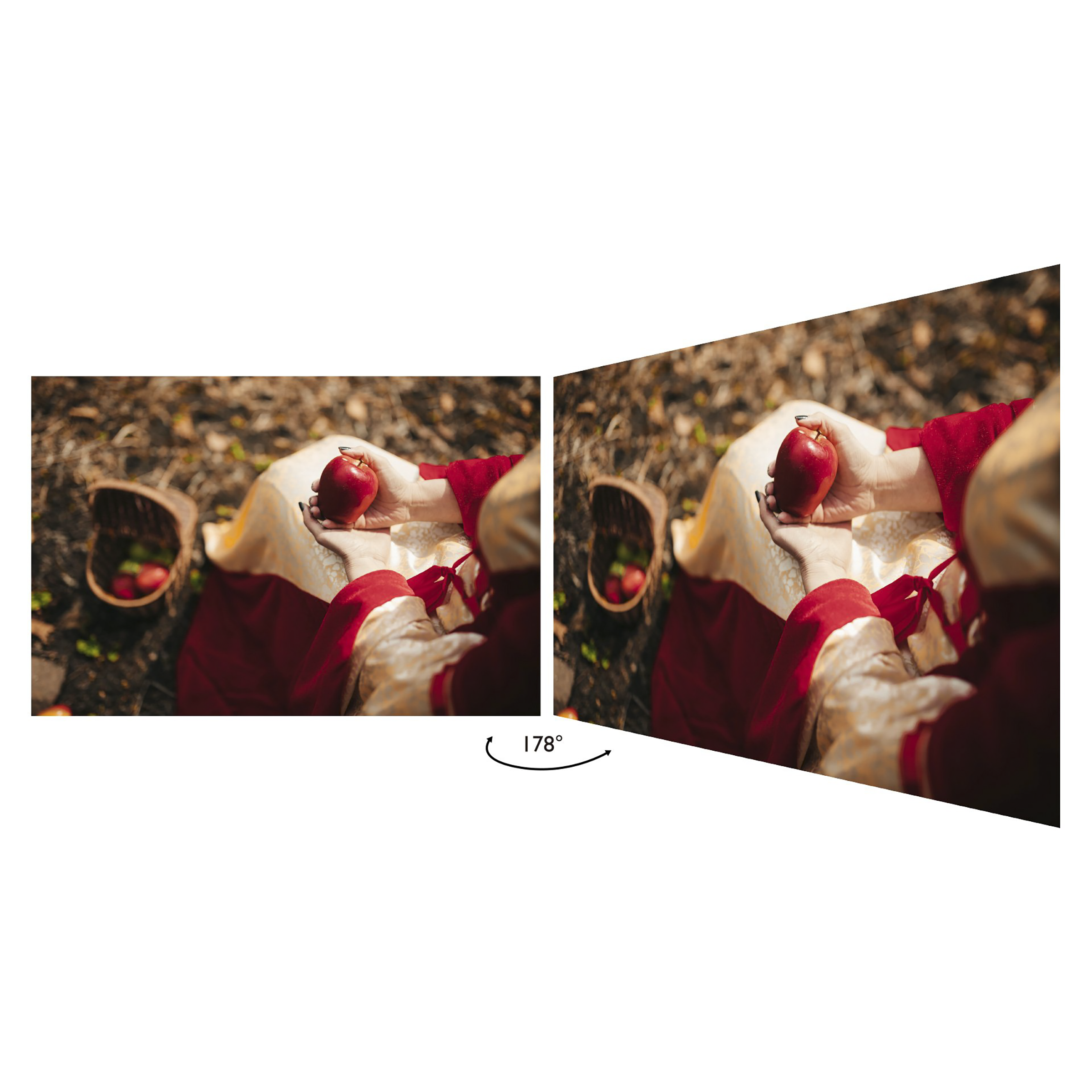 BenQ 60.45 cm (23.8 inch) Full HD IPS Panel LCD Ultra Slim Bezel Monitor with Flicker-Free Technology_10