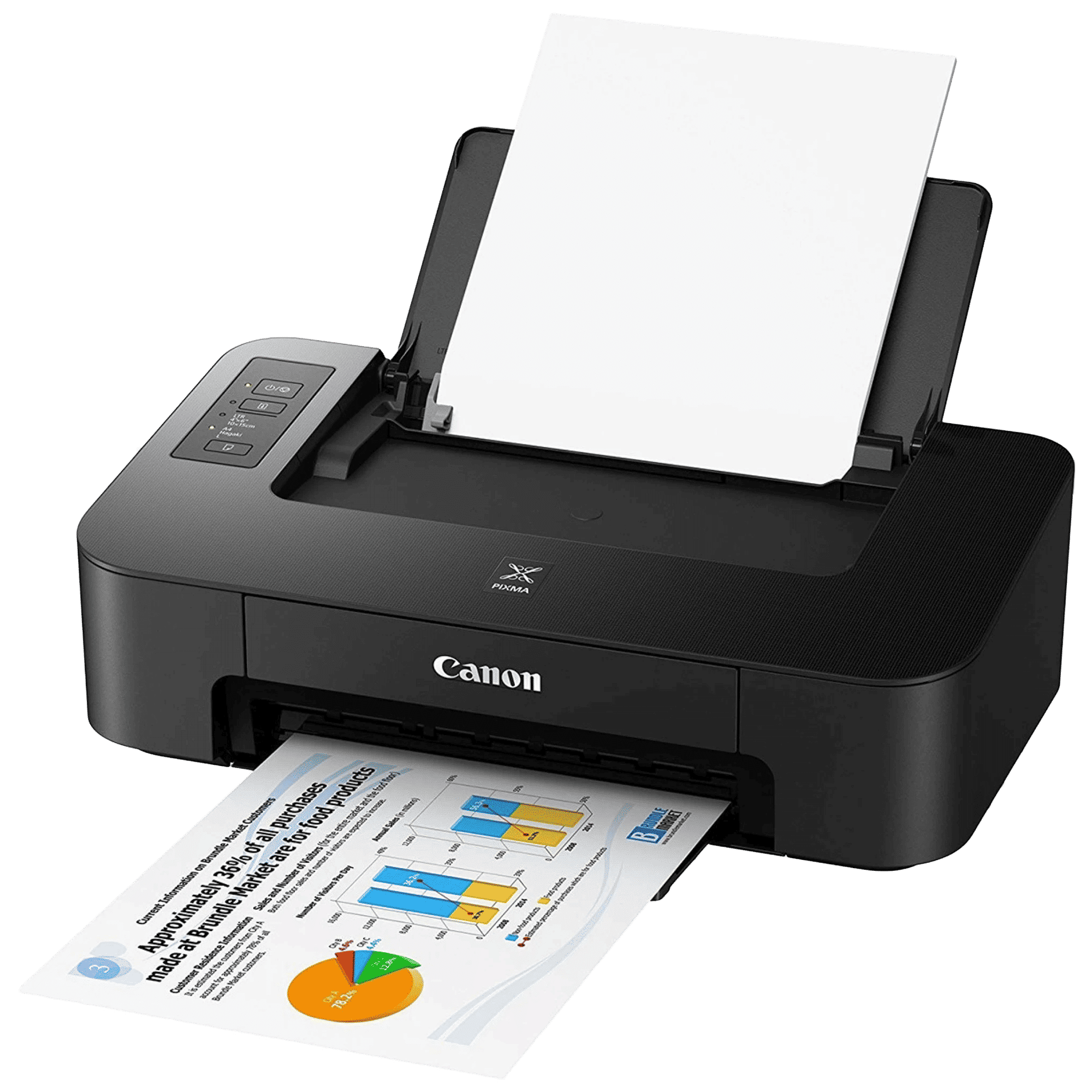 Canon Pixma TS207 Single Function Inkjet Printer with Low-Cost Cartridges (Dot Count Ink End Sensor, Black)_3