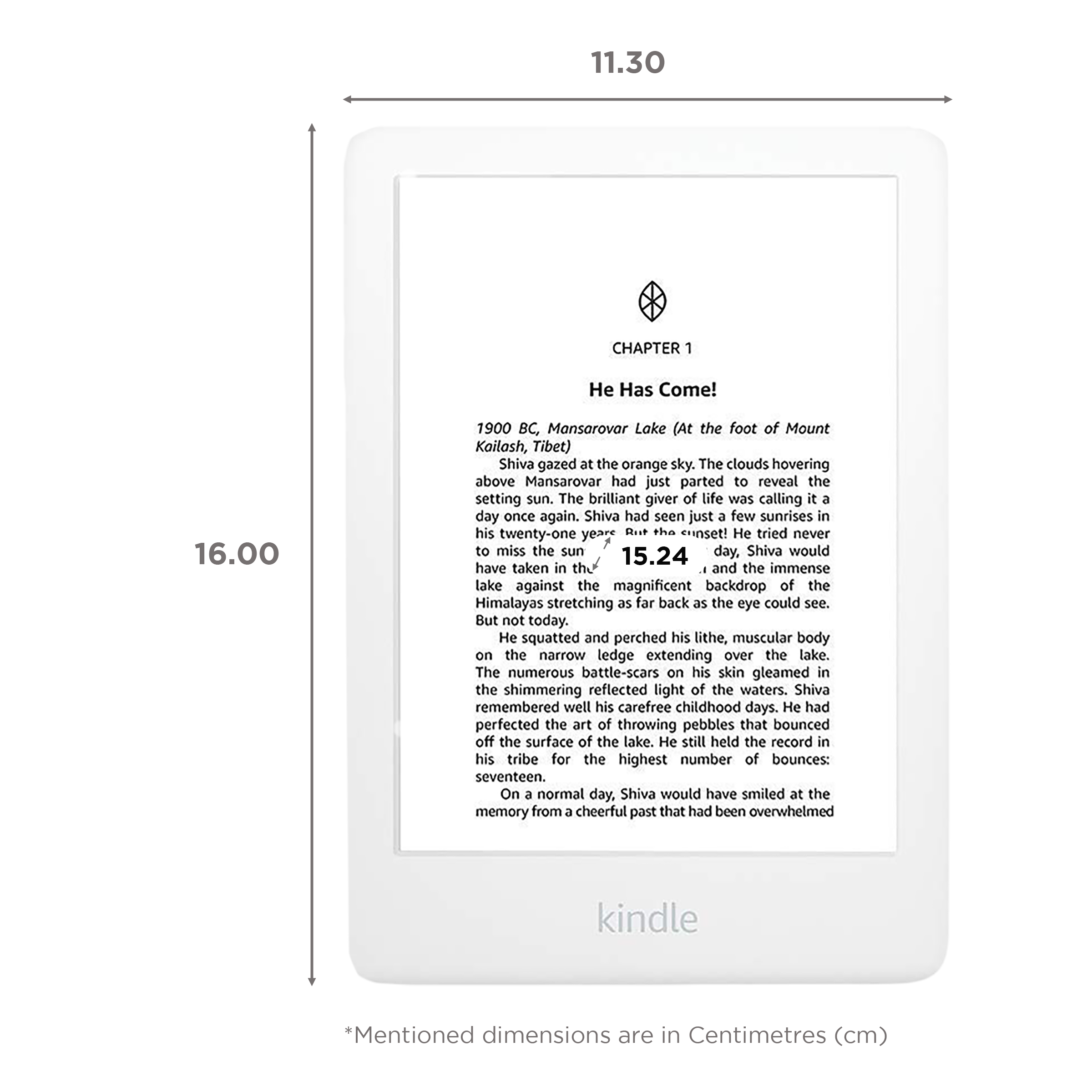 Amazon Kindle (10th Generation) Wi-Fi (6 Inch, 8GB, White)_2