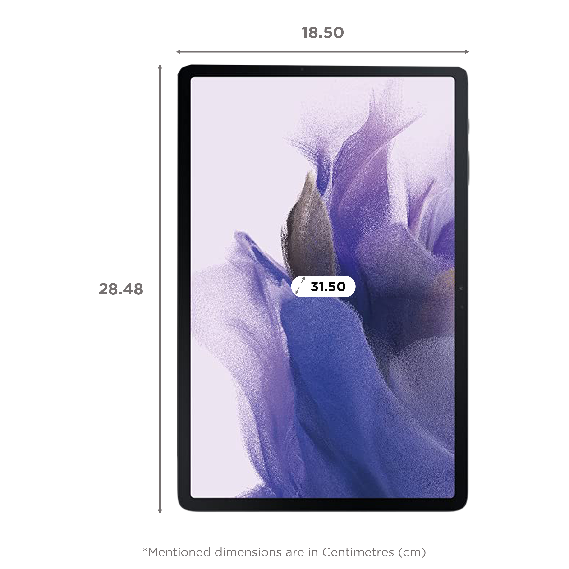 SAMSUNG Galaxy Tab S7 FE Wi-Fi+4G Android Tablet (12.4 Inch, 6GB RAM, 128GB ROM, Mystic Silver)_2