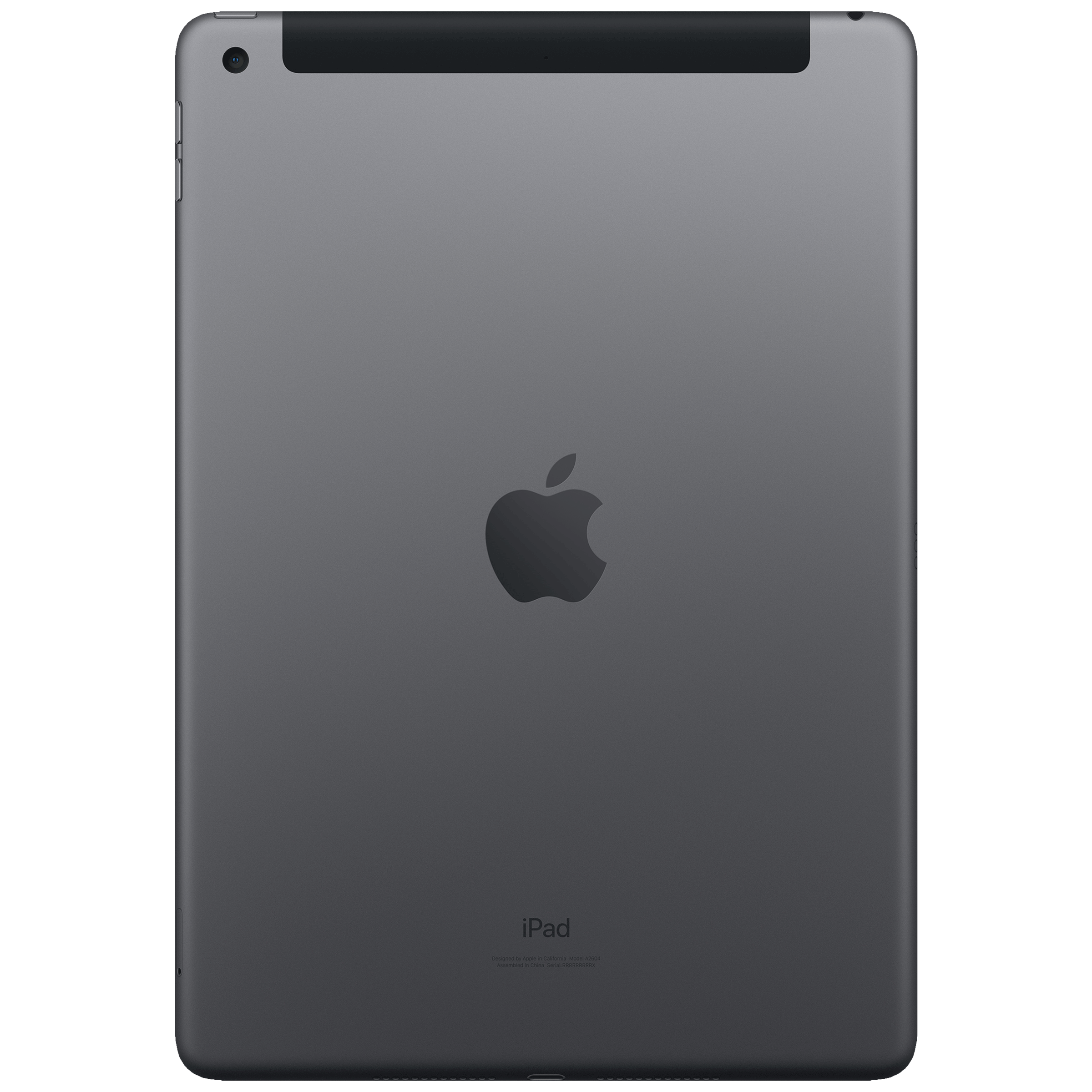 Apple iPad 9th Generation Wifi + 4G (10.2 Inch, 256GB ROM, Space Grey, 2021 model)_2
