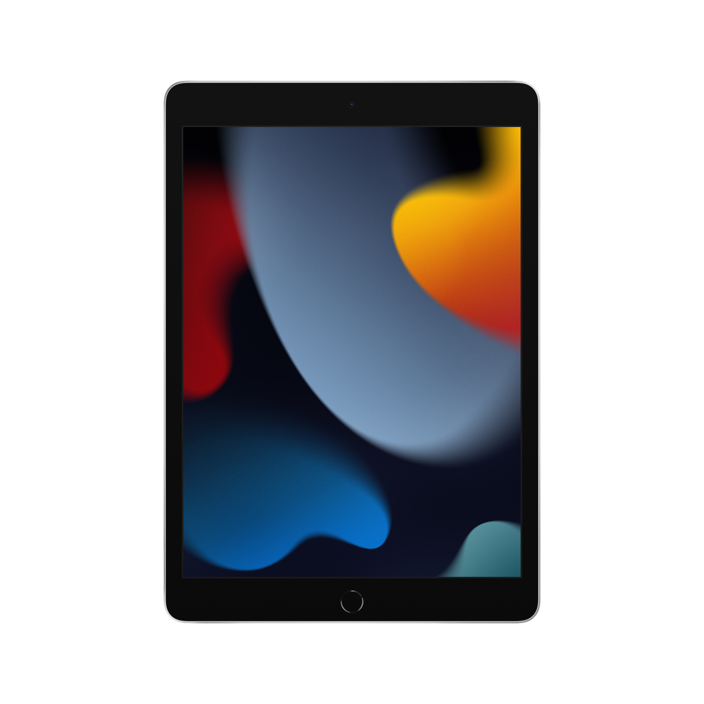 Apple iPad 9th Generation Wi-Fi+4G (10.2 Inch, 256GB, Silver, 2021 model)_2