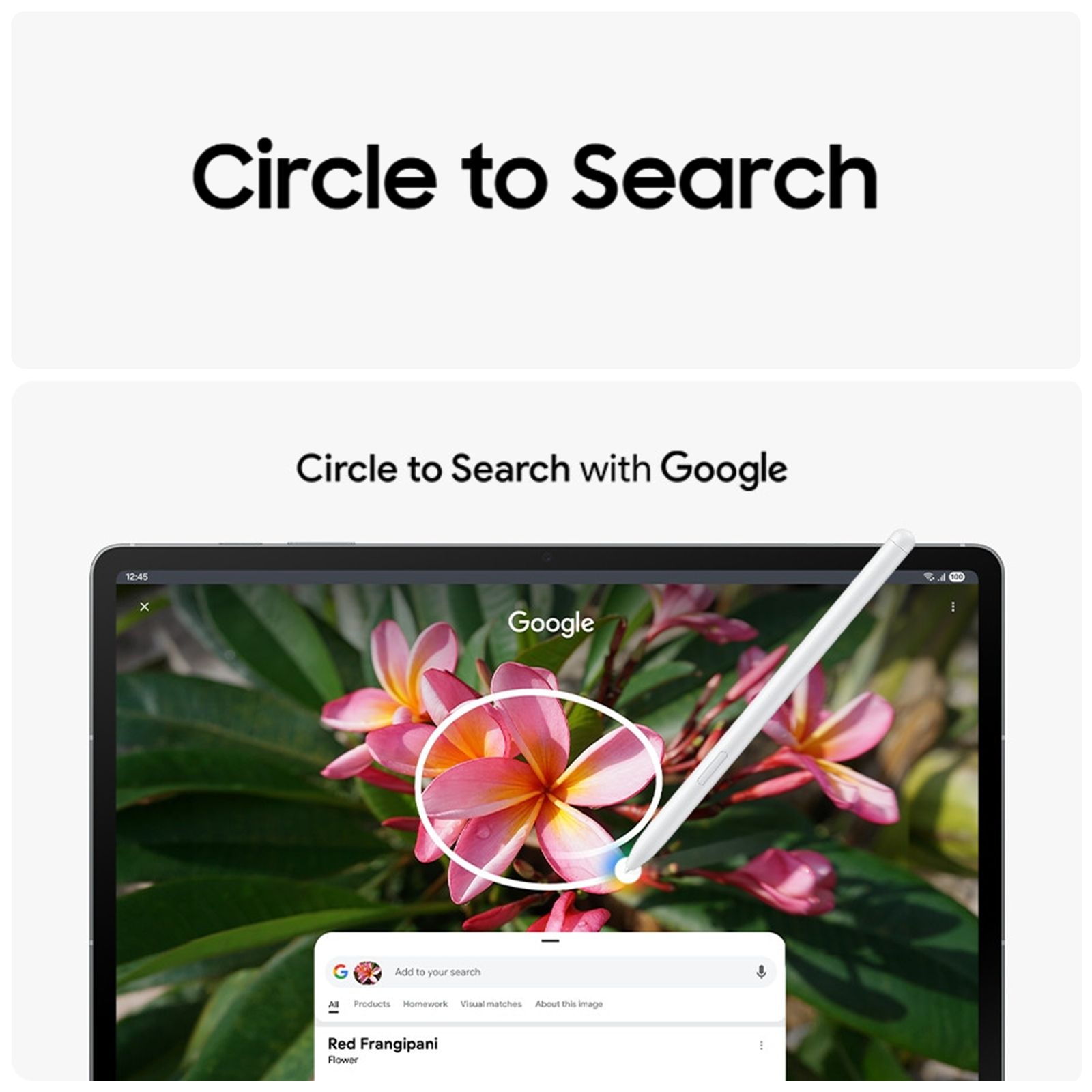 SAMSUNG Galaxy Tab S10 FE Plus Wi-Fi+5G Android Tablet (13.1 Inch, 8GB RAM, 128 GB ROM, Silver)_16