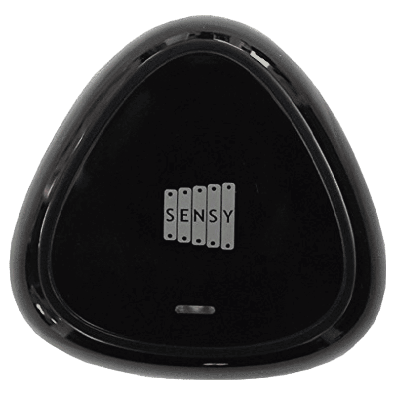 SENSY Universal Smart Remote for TV with Voice Control (7100001466, Black) SENSY Universal Smart Remote for TV with Voice Control (7100001466, Black)_1