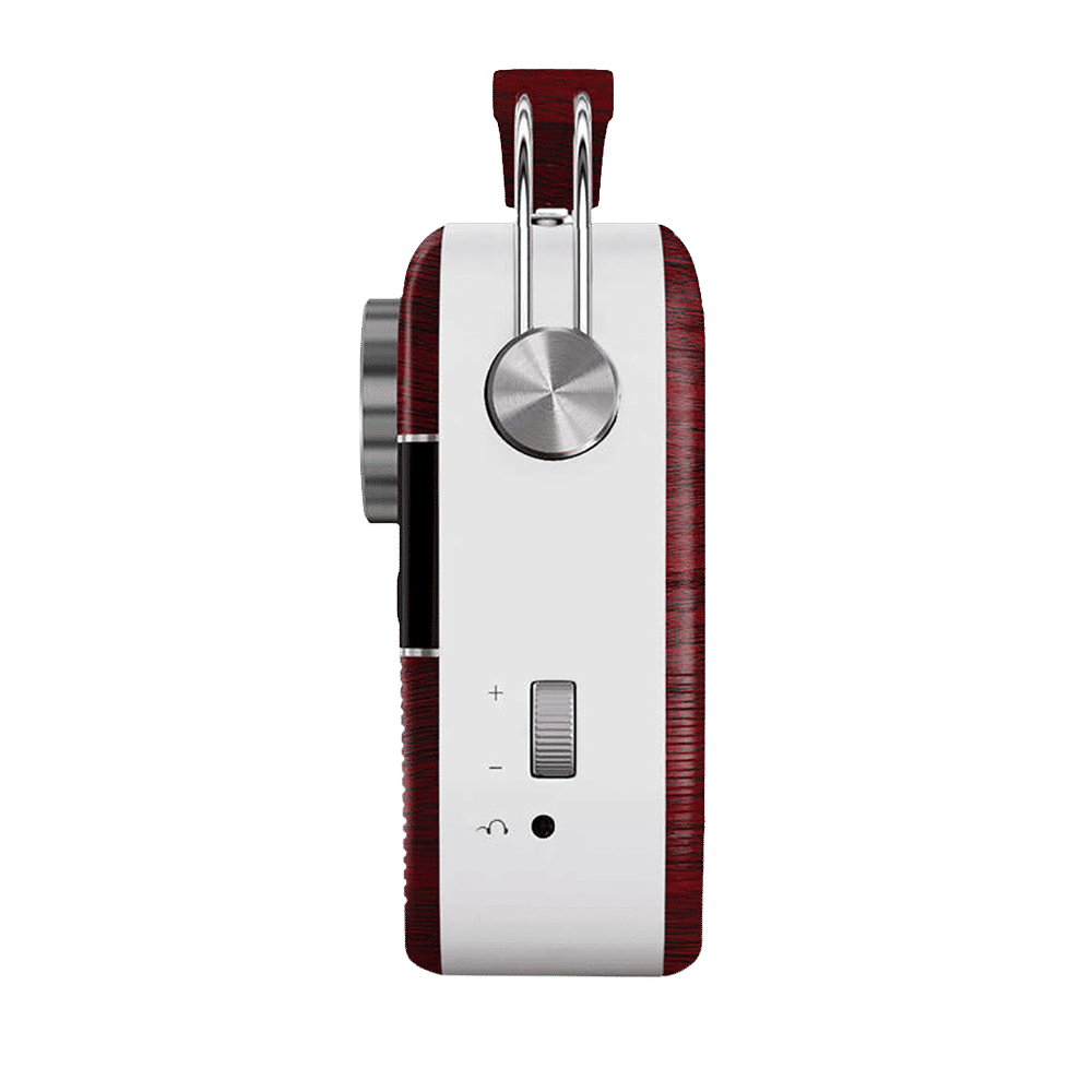 SAREGAMA Carvaan 6W Portable Bluetooth Speaker (5 Hours Playtime, Cherrywood Red)_3