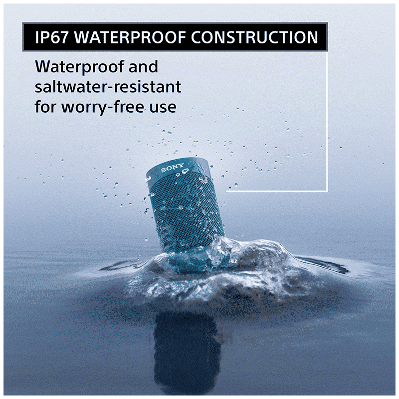SONY with Google & Siri Compatible Smart Speaker (Hands Free Calling, Green) SONY with Google & Siri Compatible Smart Speaker (Hands Free Calling, Green)_10