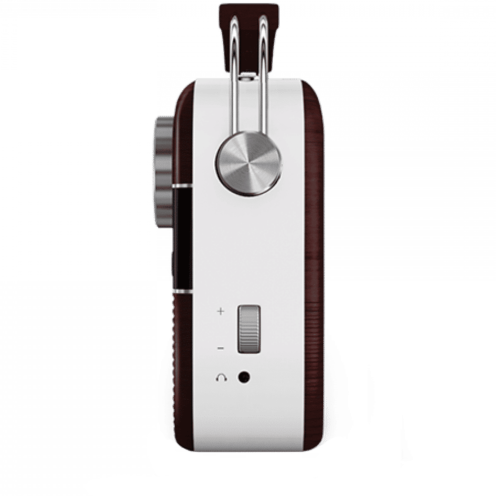 SAREGAMA Carvaan Telugu Music Player (50 Plus Dedicated Stations, SC03, Cherrywood Red)_5