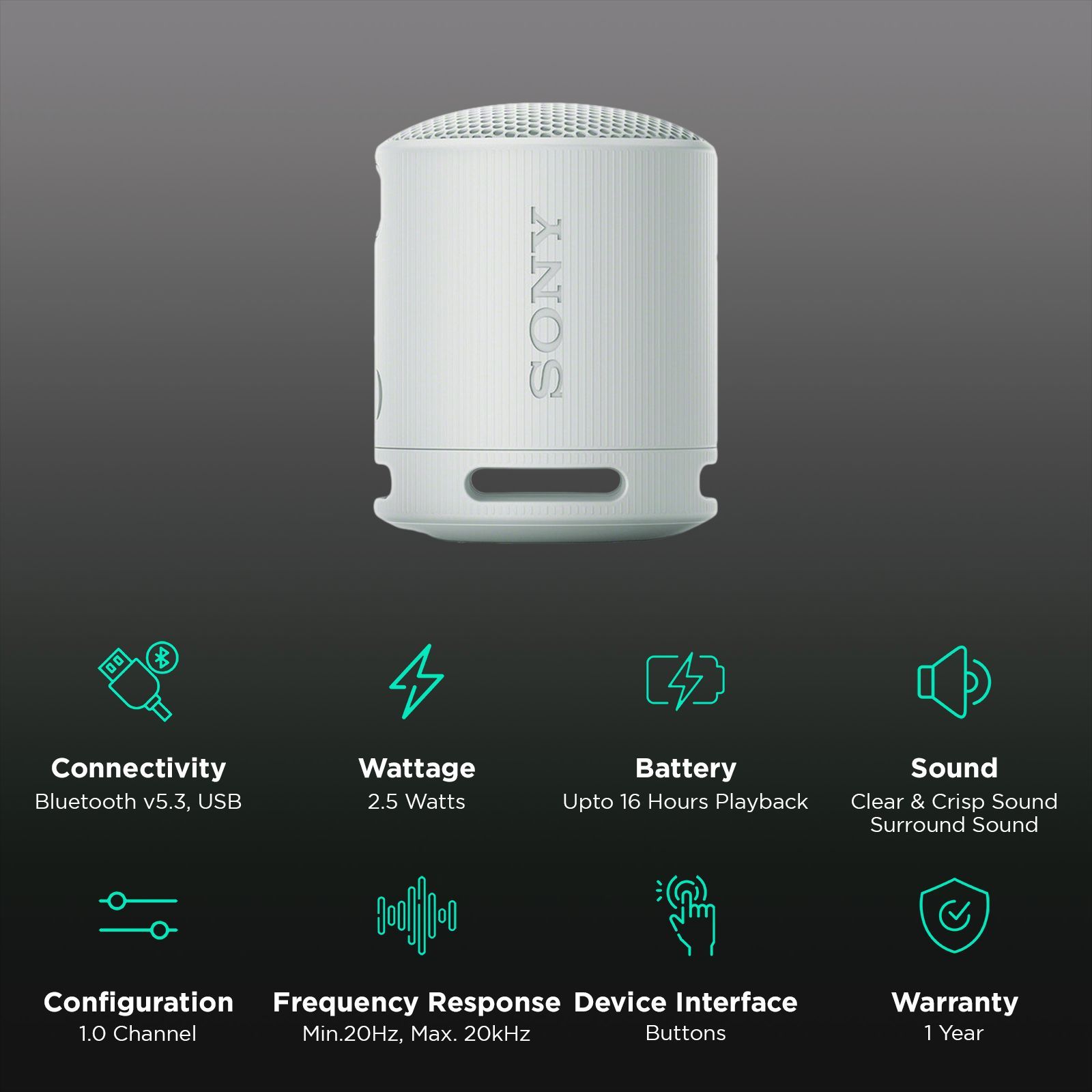 SONY SRS-XB100 2.5W Portable Bluetooth Speaker (IP67 Waterproof, 1.0 Channel, Light Grey)_2