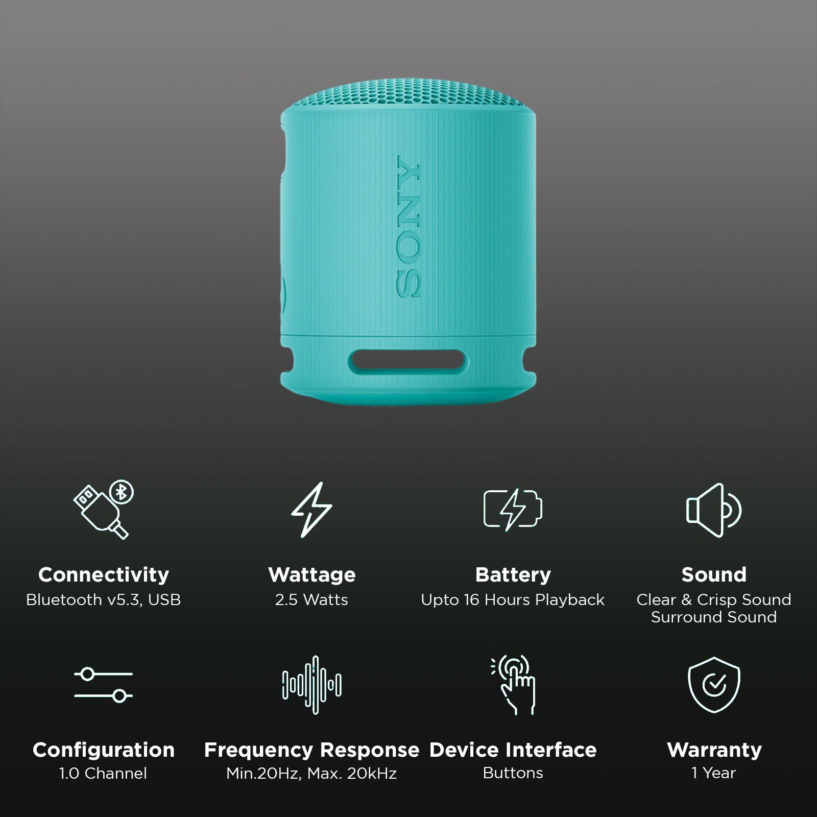 SONY SRS-XB100 2.5W Portable Bluetooth Speaker (IP67 Water Resistance, Echo Cancelling Technology, Stereo Channel, Blue)_2