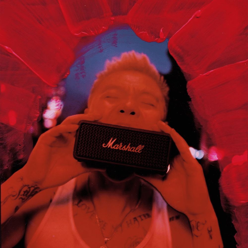 Marshall Emberton III 20W Portable Bluetooth Speaker (IP67 Dust & Waterproof, 360 Degree Sound, Stereo Channel, Black & Brass)_15