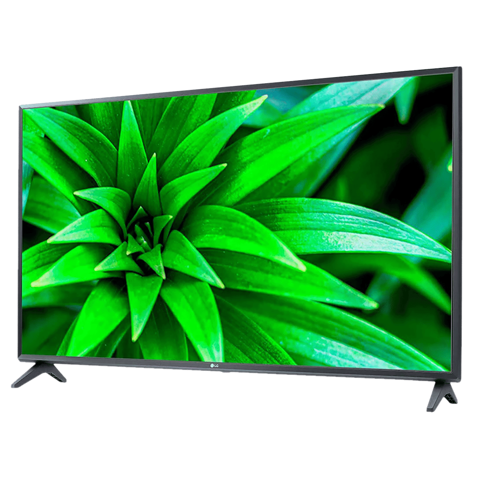 LG LM562 108.22 cm (43 inch) Full HD LED Smart WebOS TV with Dolby Audio_9