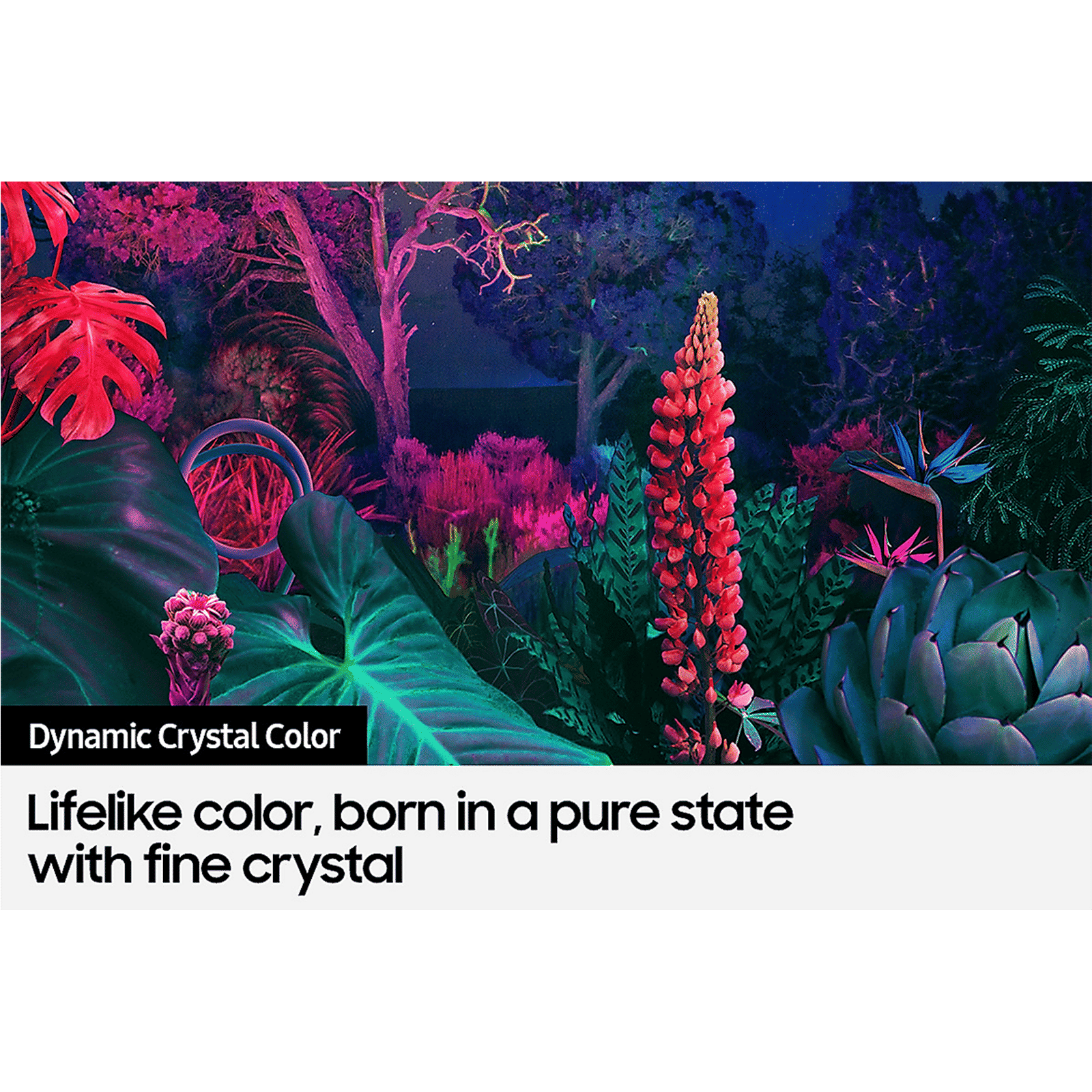 SAMSUNG Series 8 125 cm (50 inch) 4K Ultra HD LED Tizen TV with Alexa Compatibility SAMSUNG Series 8 125 cm (50 inch) 4K Ultra HD LED Tizen TV with Alexa Compatibility_13