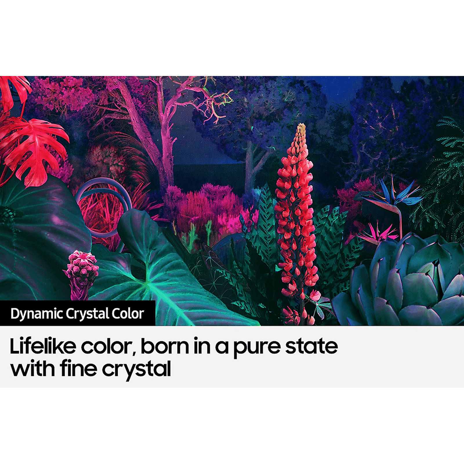 SAMSUNG Series 8 138 cm (55 inch) 4K Ultra HD LED Tizen TV with Alexa Compatibility_14