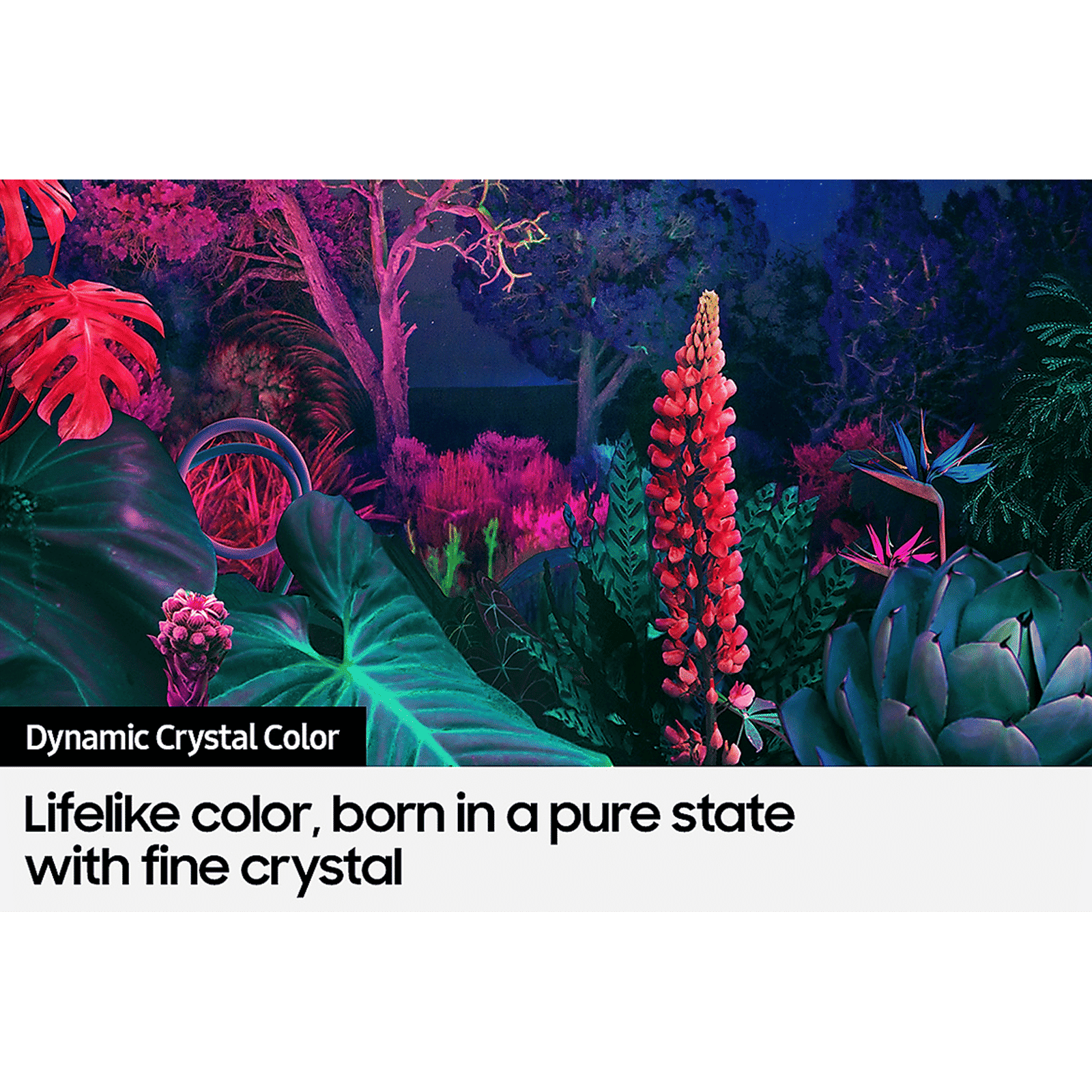 SAMSUNG Series 8 189 cm (75 inch) 4K Ultra HD LED Tizen TV with Alexa Compatibility_12