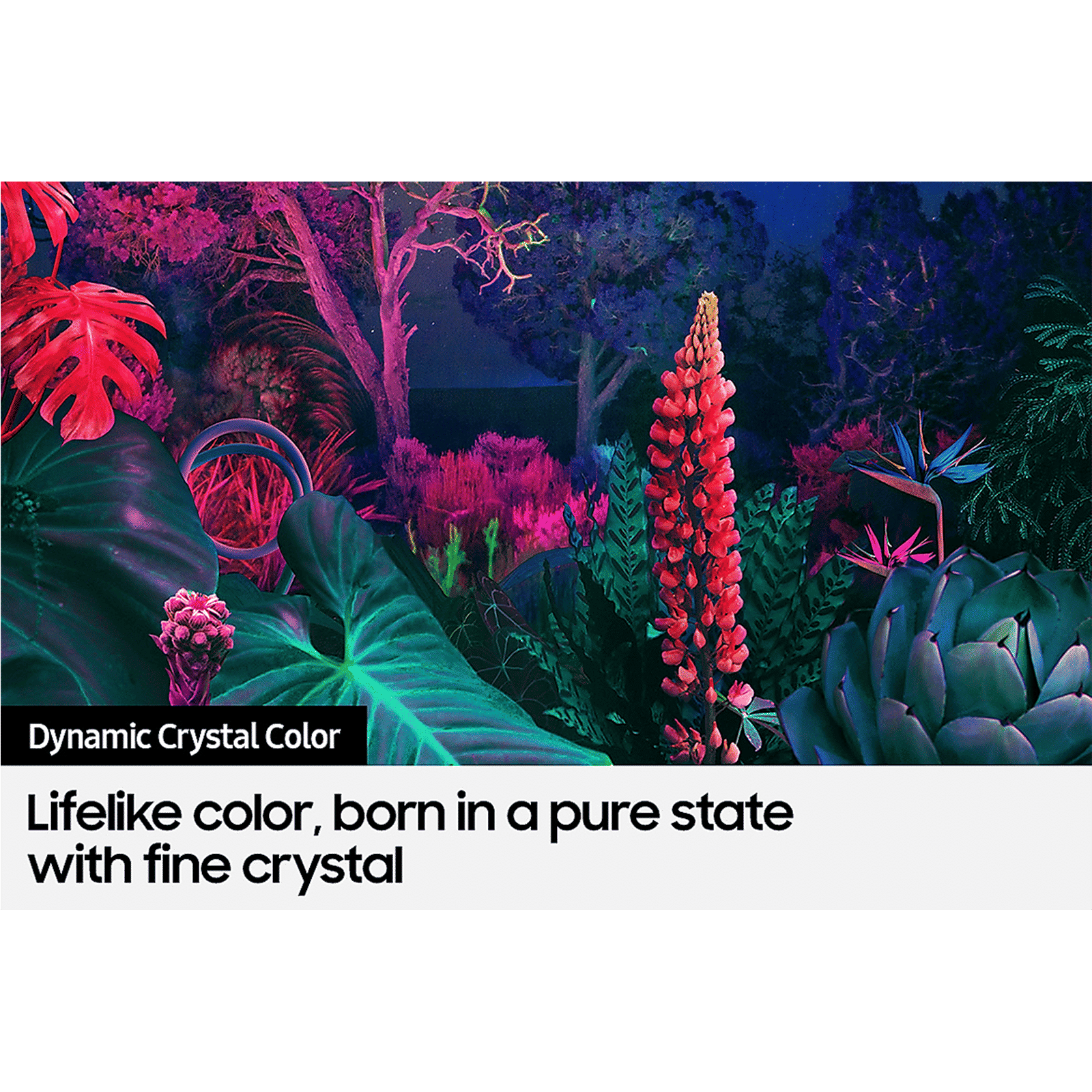 SAMSUNG Series 8 216 cm (85 inch) 4K Ultra HD LED Tizen TV with Alexa Compatibility SAMSUNG Series 8 216 cm (85 inch) 4K Ultra HD LED Tizen TV with Alexa Compatibility_14