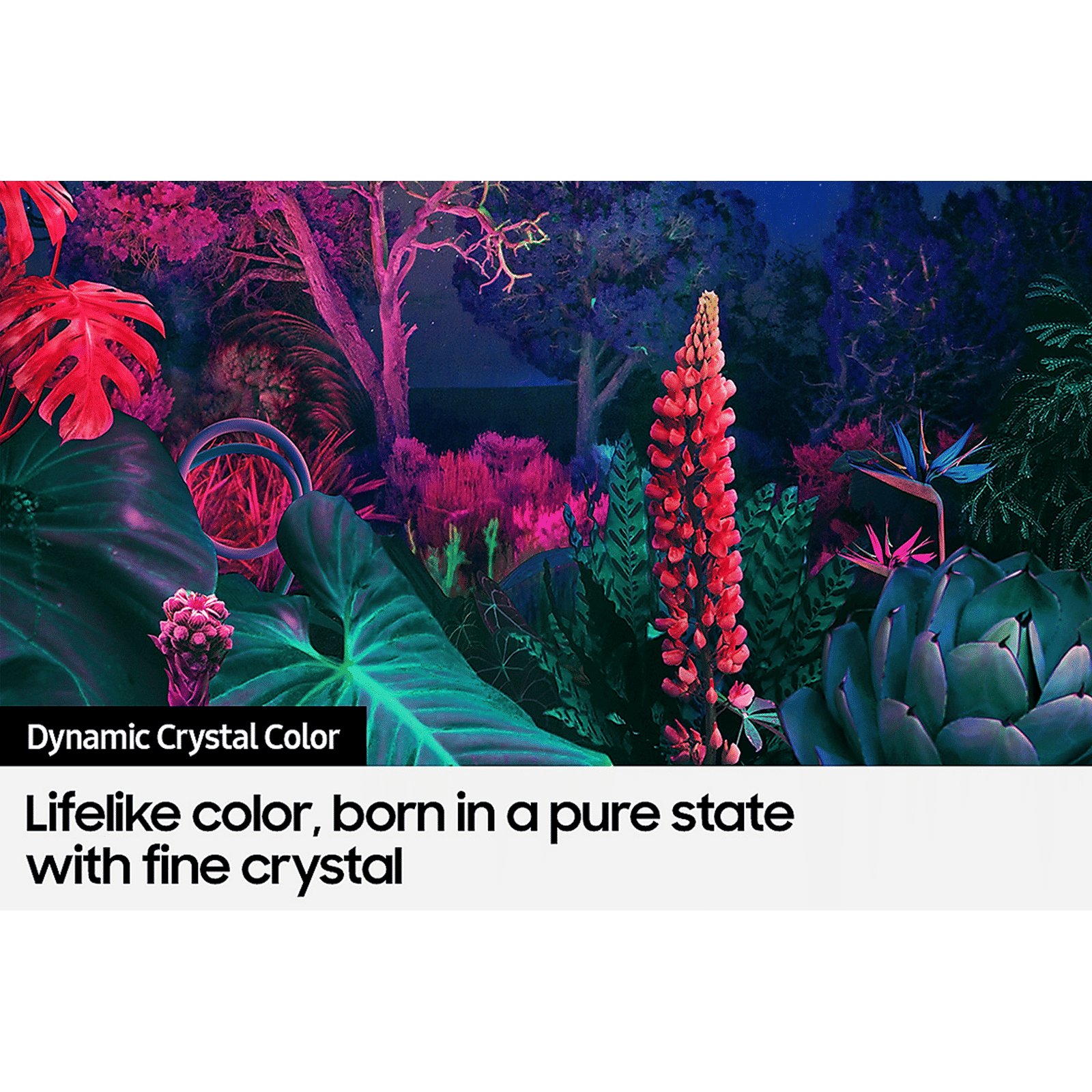 SAMSUNG Series 8 108cm (43 inch) 4K Ultra HD LED Tizen TV with Alexa Compatibility_11