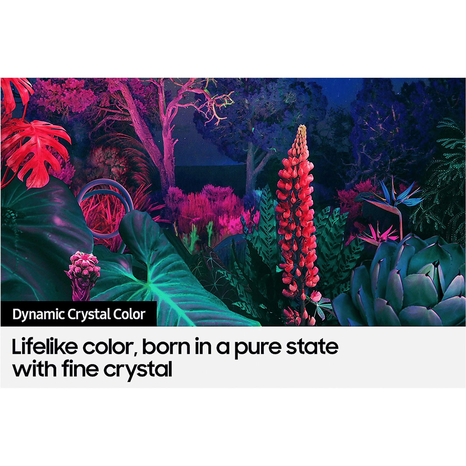 SAMSUNG 8 140 cm (55 inch) 4K Ultra HD LED Tizen Smart TV with Alexa Compatibility_11