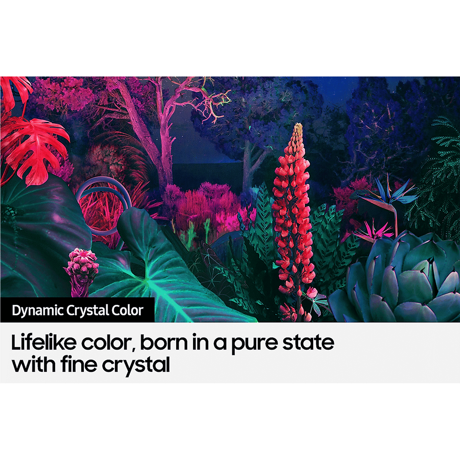 SAMSUNG Series 8 165 cm (65 inch) 4K Ultra HD LED Tizen TV with Alexa Compatibility_11