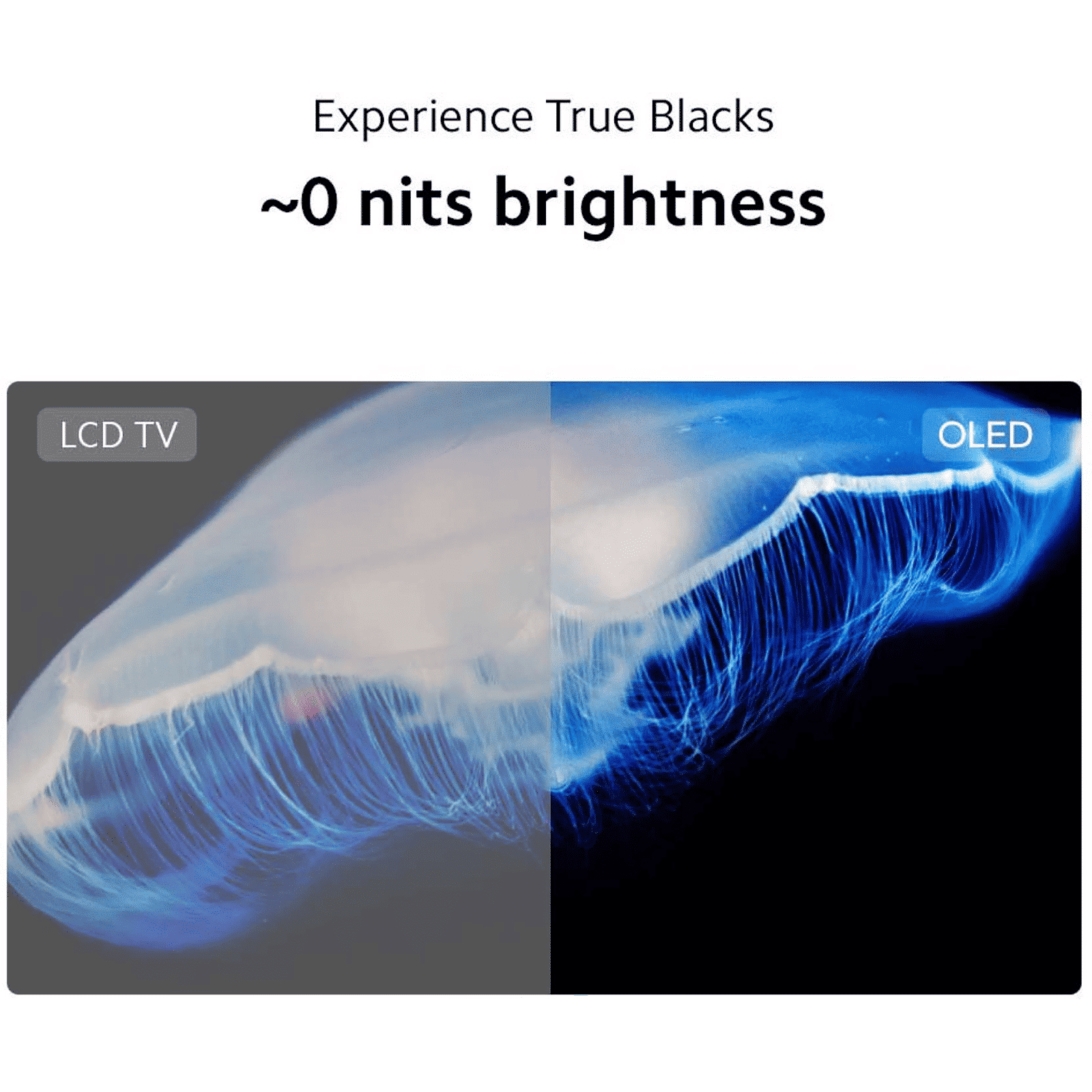 Xiaomi 138 cm (55 inch) 4K Ultra HD OLED Smart Android TV with Google Assistant (2022 model)_16