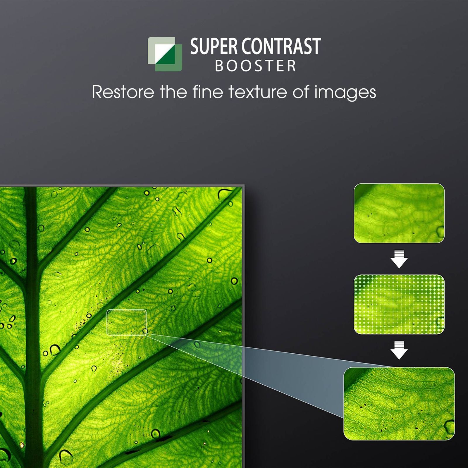 TOSHIBA C350MP 139 cm (55 inch) 4K Ultra HD LED Google TV with Regza Engine 4K (2023 model)_19