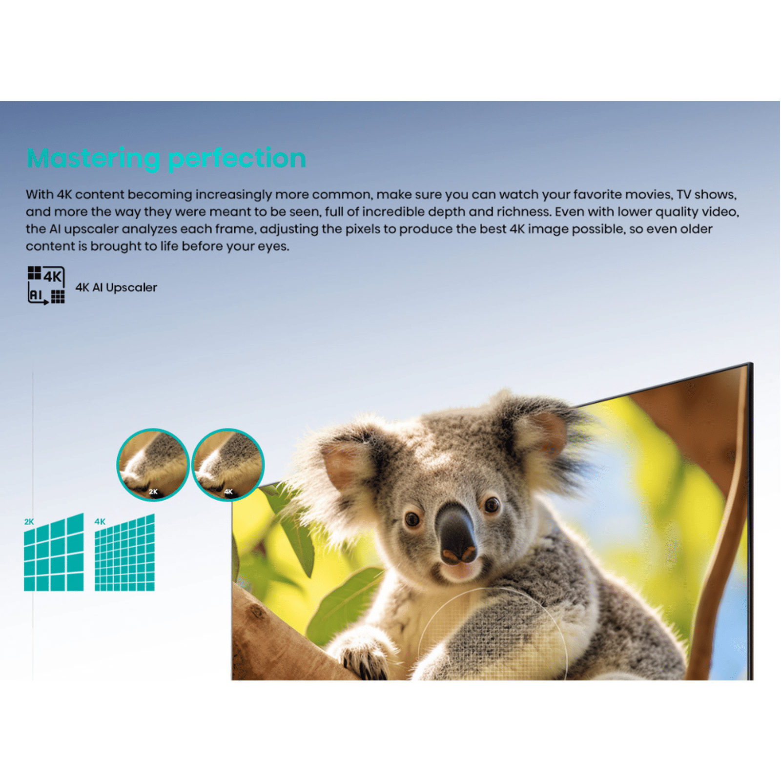 Hisense Q6N 139 cm (55 inch) QLED 4K Ultra HD Google TV with Dolby Vision & Dolby Atmos (2024 model) Hisense Q6N 139 cm (55 inch) QLED 4K Ultra HD Google TV with Dolby Vision & Dolby Atmos (2024 model)_10