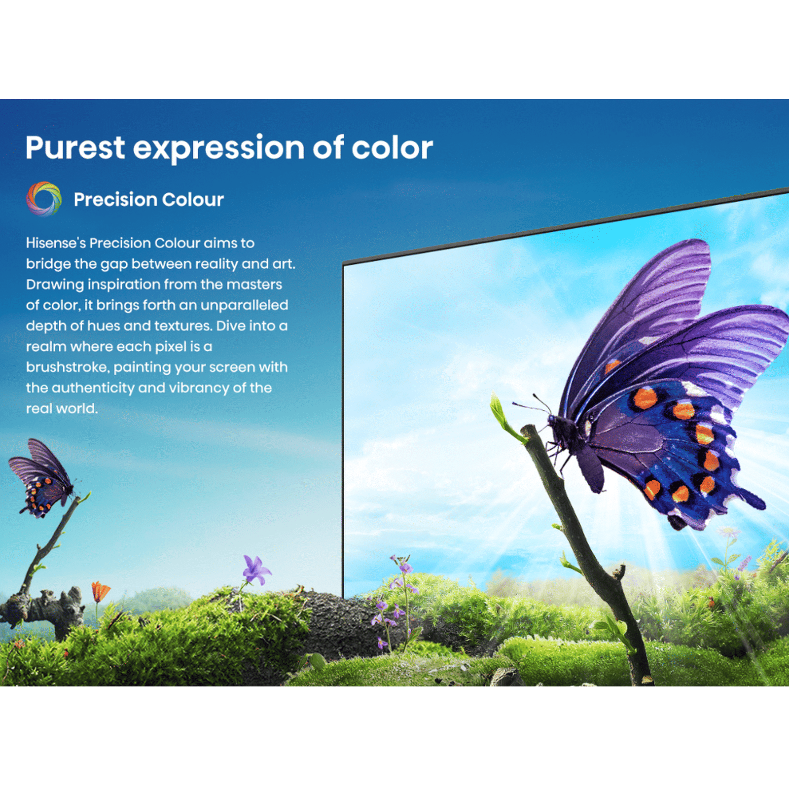 Hisense A65N 139.7 cm (55 inch) LED 4K Ultra HD Google TV with Dolby Vision & Dolby Digital (2024 model) Hisense A65N 139.7 cm (55 inch) LED 4K Ultra HD Google TV with Dolby Vision & Dolby Digital (2024 model)_12