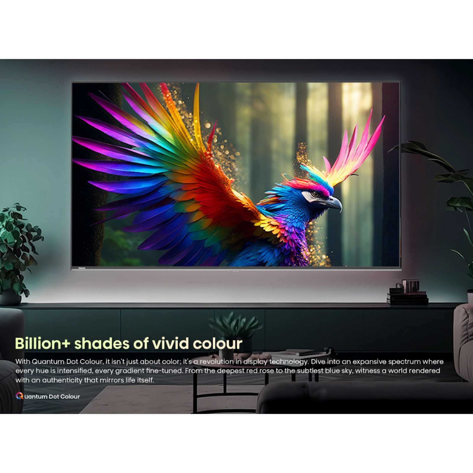 Hisense U6N Pro 165.1 cm (65 inch) 4K Ultra HD Mini LED Smart VIDAA TV with Dolby Vision & Dolby Atmos (2024 model) Hisense U6N Pro 165.1 cm (65 inch) 4K Ultra HD Mini LED Smart VIDAA TV with Dolby Vision & Dolby Atmos (2024 model)_9
