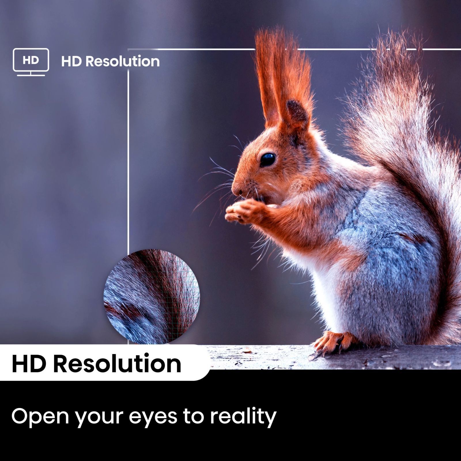 Hisense E43N 109.22 cm (43 inch) Full HD LED Smart Google TV with Dolby Audio (2024 model)_10