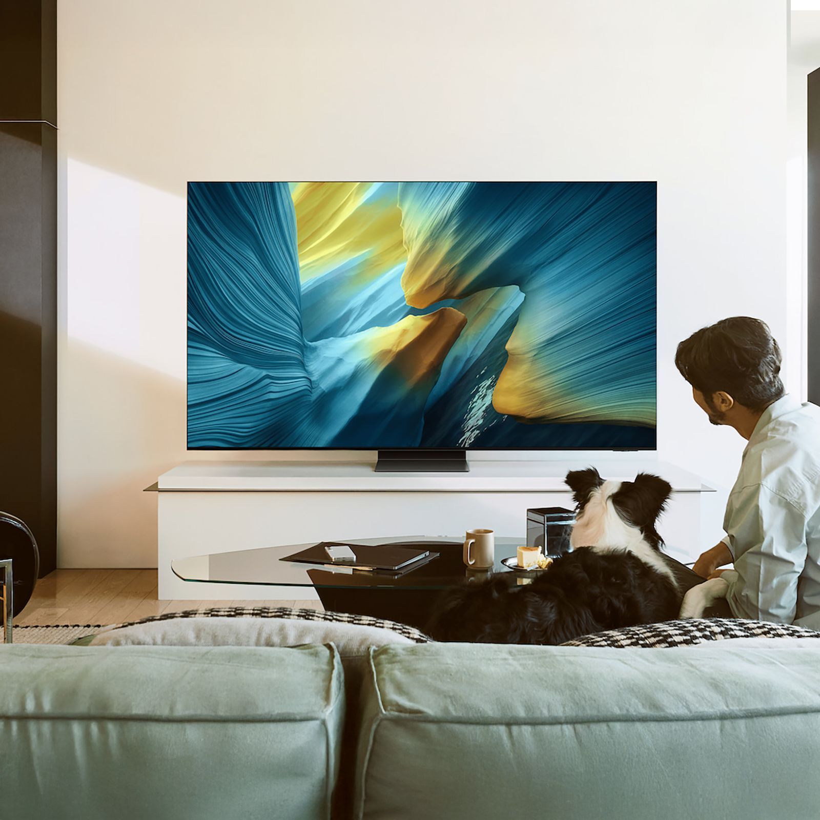 SAMSUNG S95F 195 cm (77 inch) OLED 4K Ultra HD Smart Tizen TV with Built-in Alexa (2025 model)_14