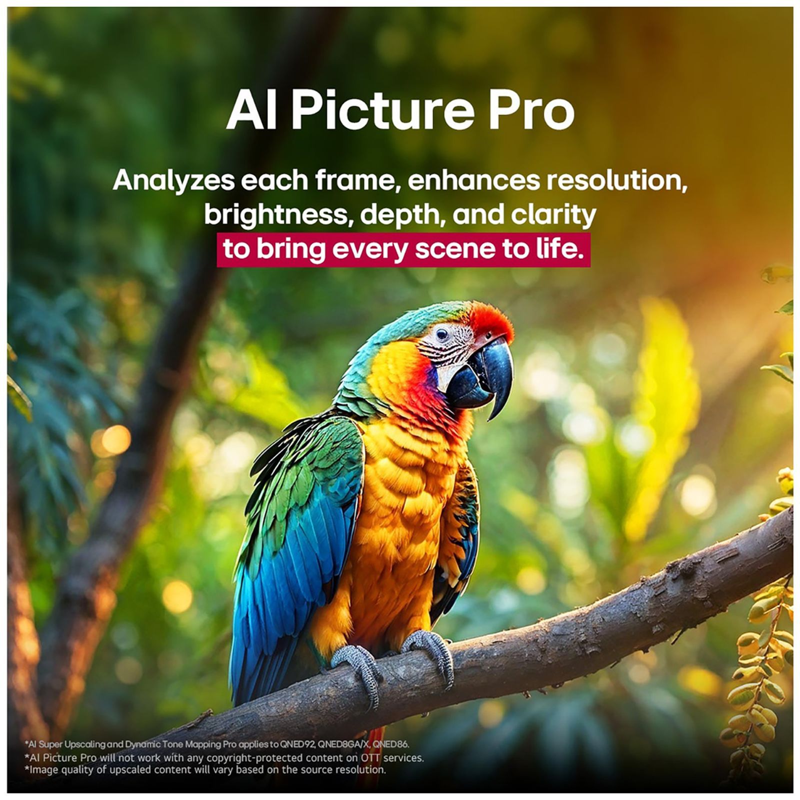 LG evo AI QNED86 253 cm (100 inch) QNED MiniLED 4K Ultra HD Smart WebOS TV with Dolby Vision (2025 Model) LG evo AI QNED86 253 cm (100 inch) QNED MiniLED 4K Ultra HD Smart WebOS TV with Dolby Vision (2025 Model)_14