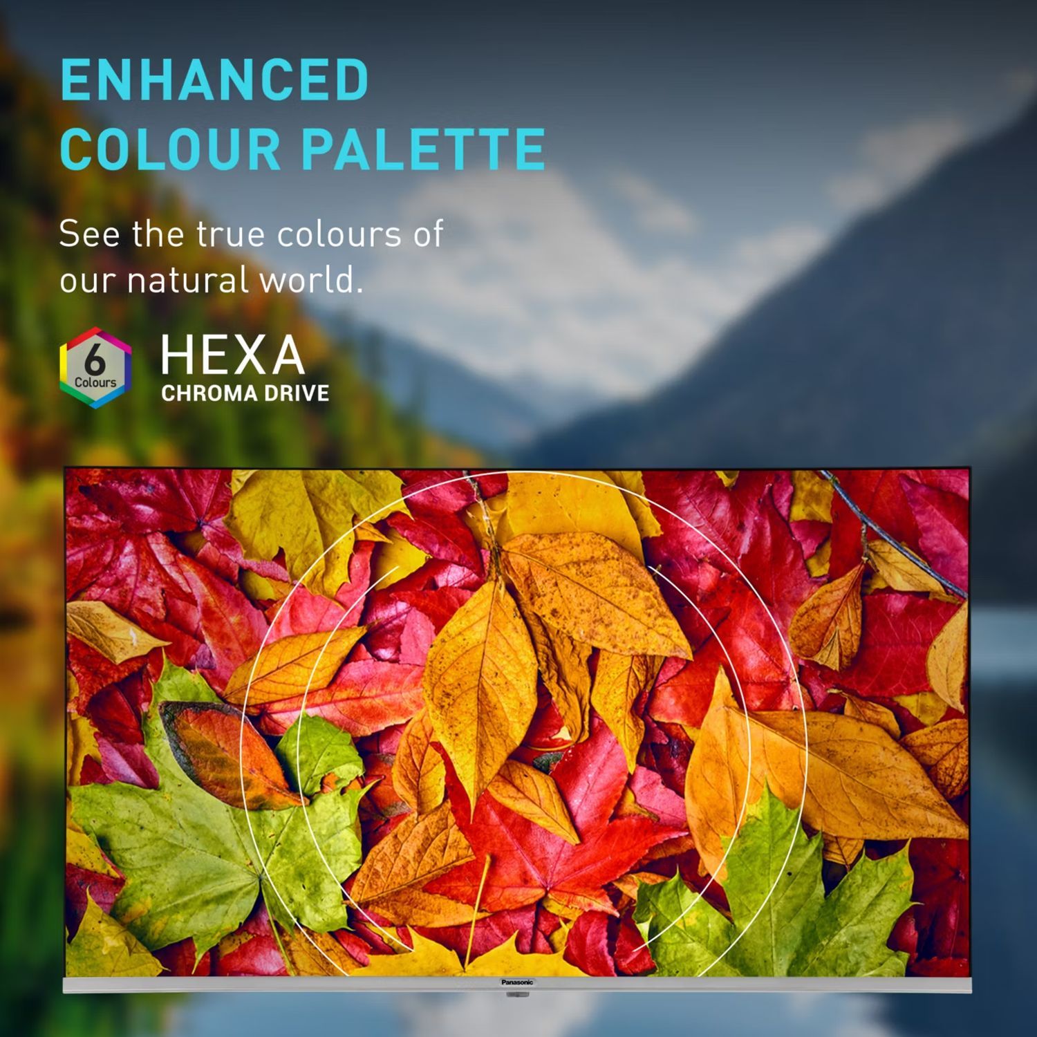 Panasonic 139.7 cm (55 inch) 4K Ultra HD LED Smart Google TV with Dolby Digital (2025 model)_12