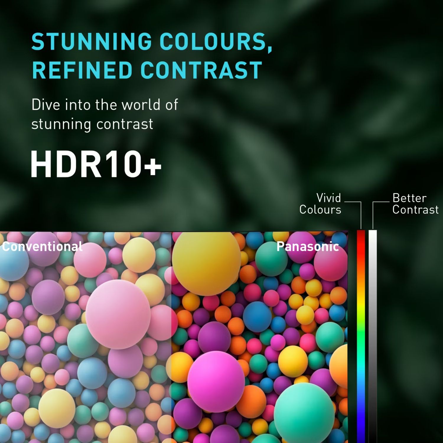 Panasonic 139.7 cm (55 inch) 4K Ultra HD LED Smart Google TV with Dolby Digital (2025 model)_13