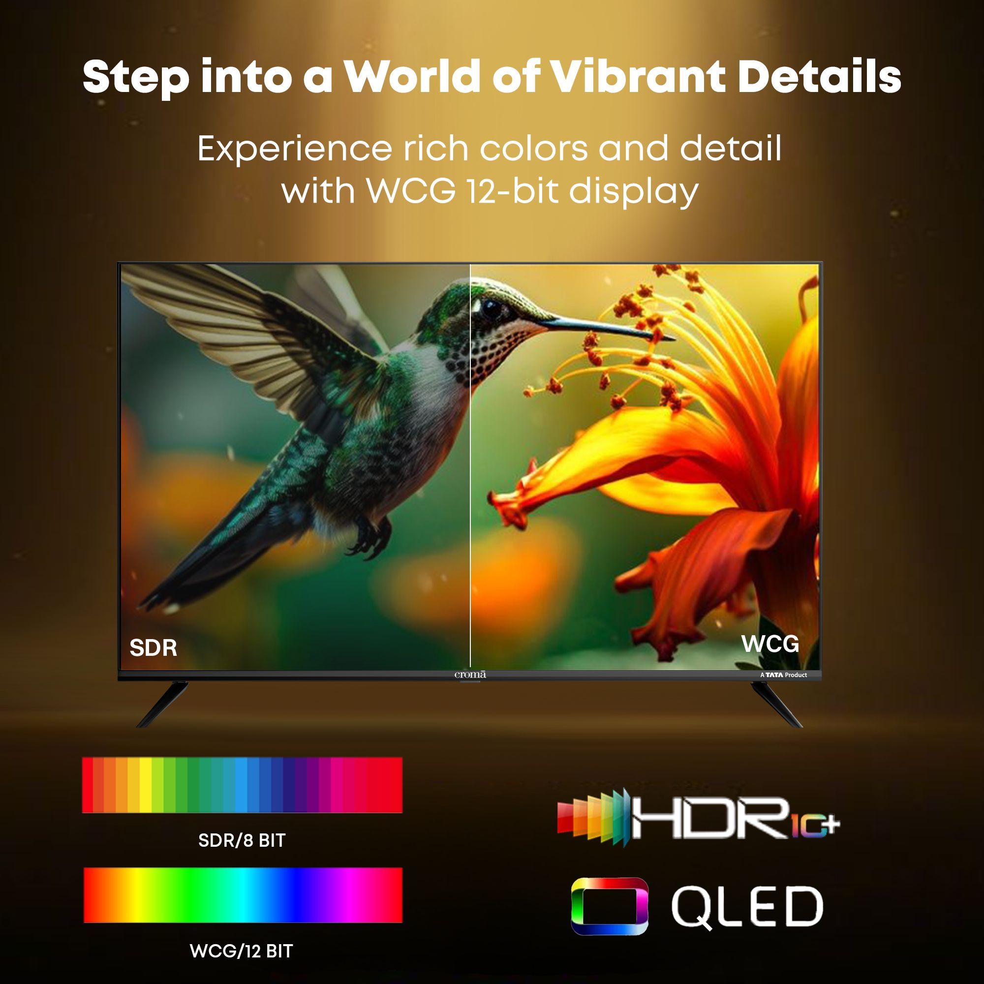 Croma 109 cm (43 inch) QLED 4K Ultra HD Smart Google TV 5.0 with Dolby Audio_9