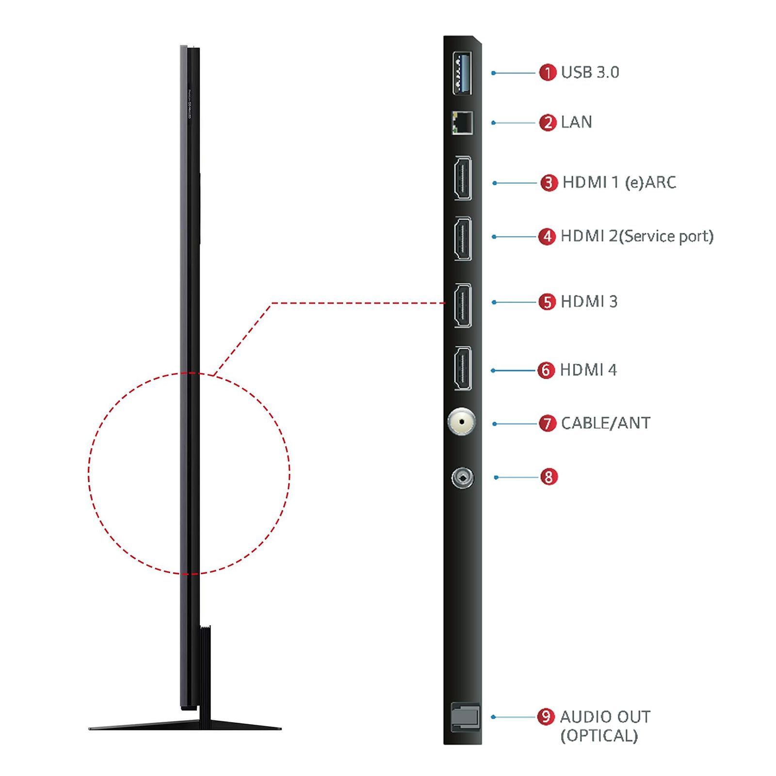 TCL C8K 215.9 cm (85 inch) QLED MiniLED 4K Ultra HD Smart Google TV with Built-in Google Assistant (2025 model)_15
