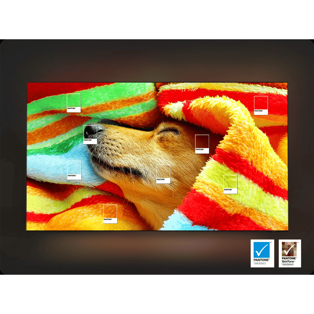 SAMSUNG Q7F 248.9 cm (98 inch) QLED 4K Ultra HD Smart Tizen TV with Google Voice Assistant (2025 model)_12