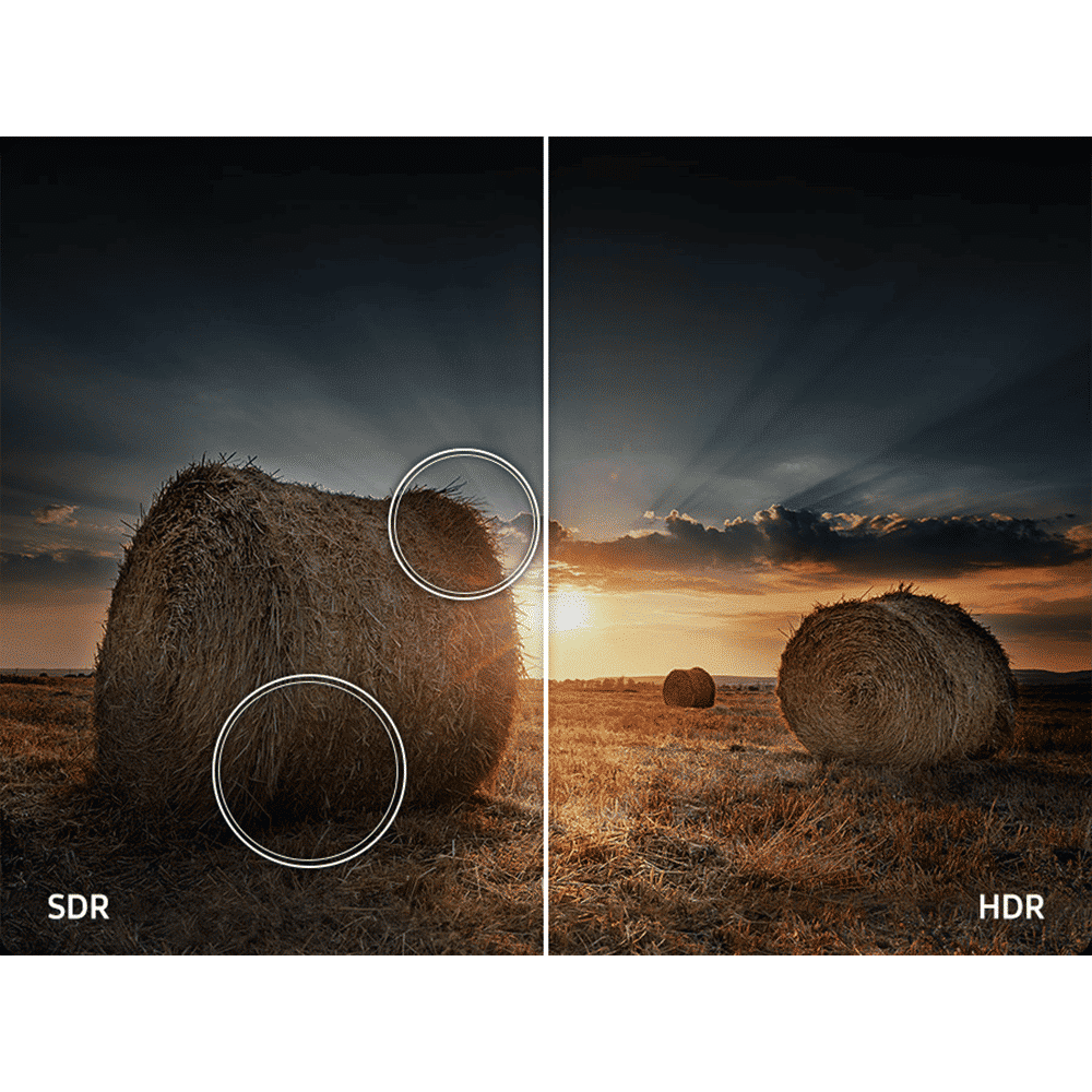 SAMSUNG Q7F 248.9 cm (98 inch) QLED 4K Ultra HD Smart Tizen TV with Google Voice Assistant (2025 model)_13