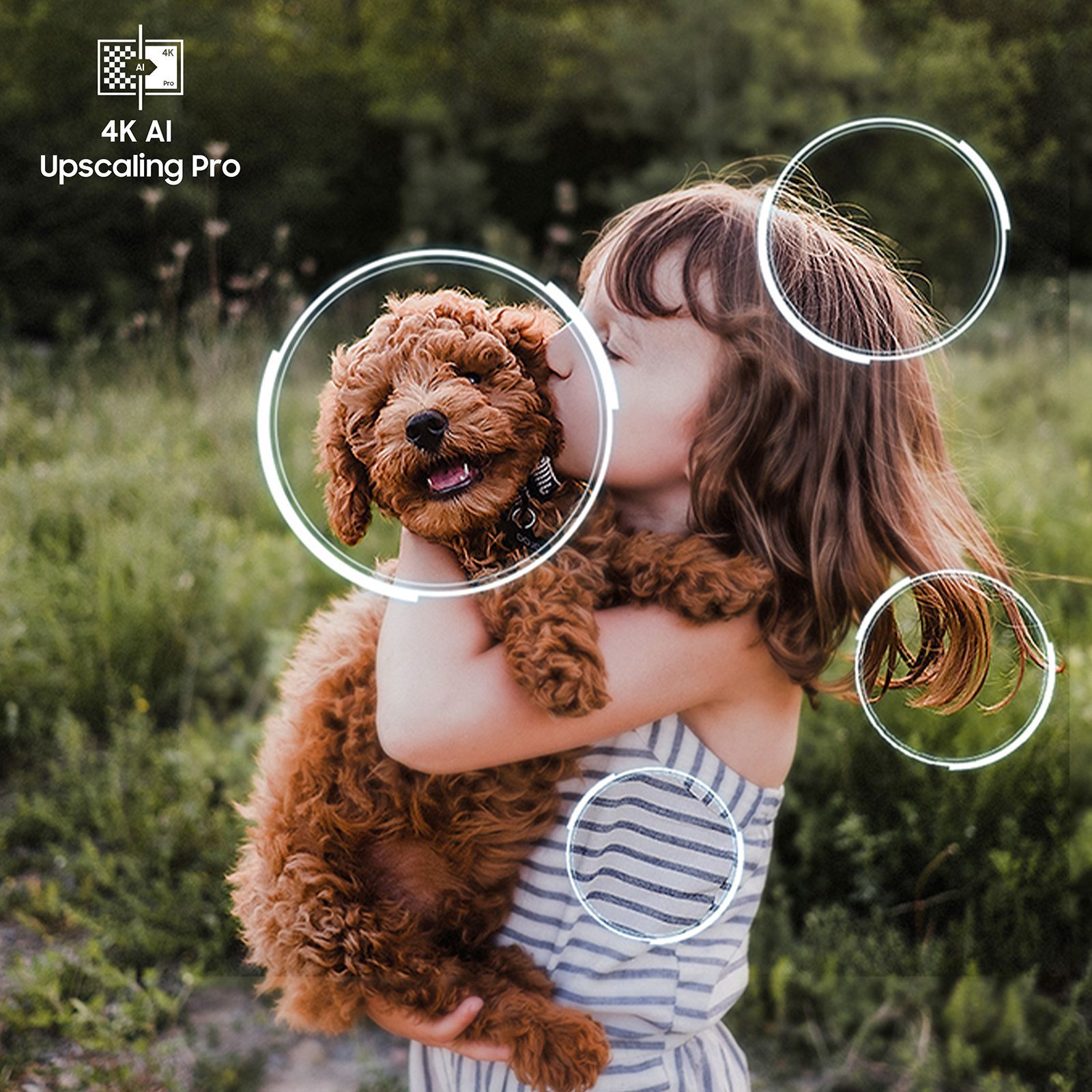 SAMSUNG S90H165 cm (65 inch) OLED 4K Ultra HD Smart Tizen TV with Google Voice Assistant_15