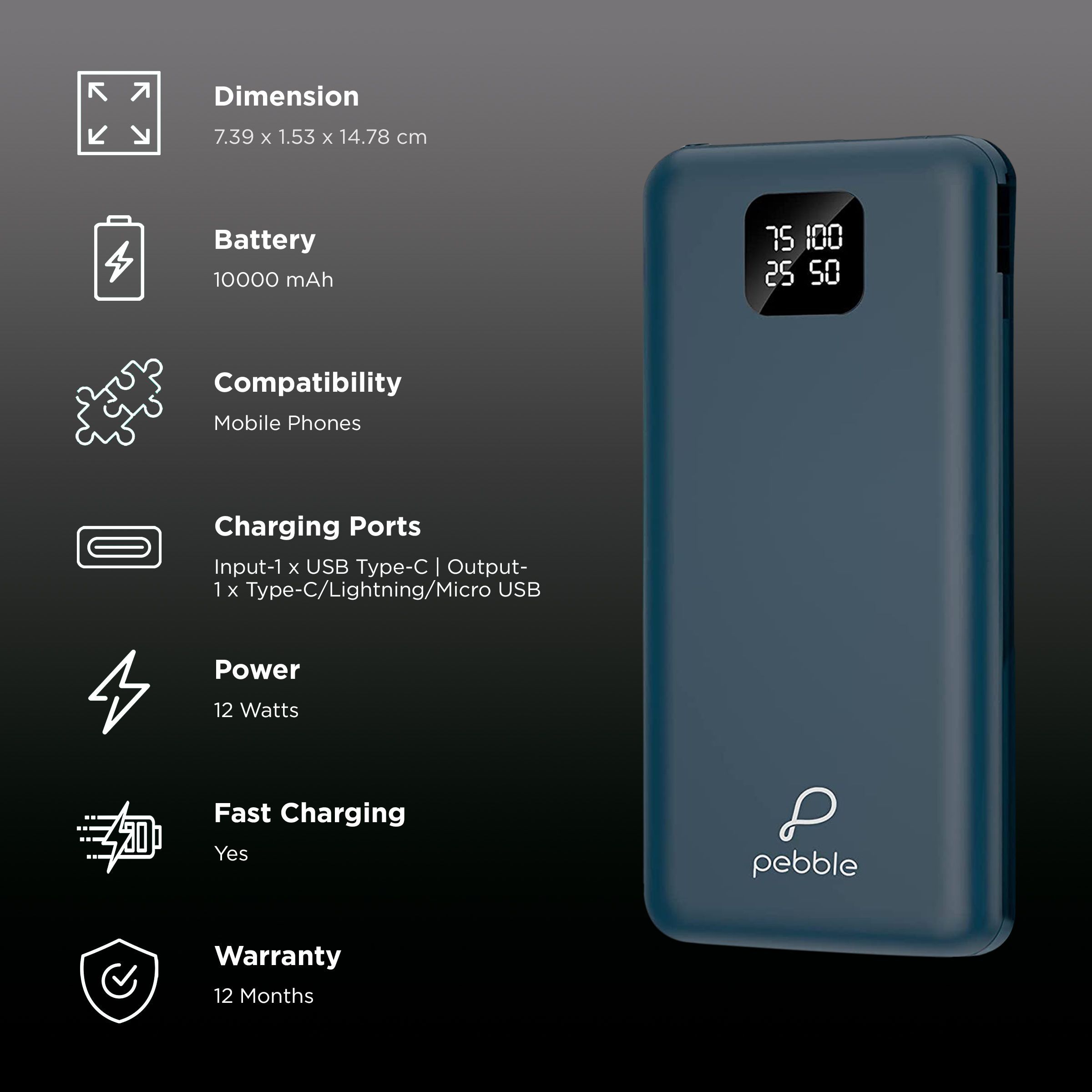 Pebble Ace Pro 10000 mAh 12W Fast Charging Power Bank (1 Micro USB Type B, 1 Type C, 1 Type A & 1 Lightning Ports, Digital LED Indicator, Blue)_3
