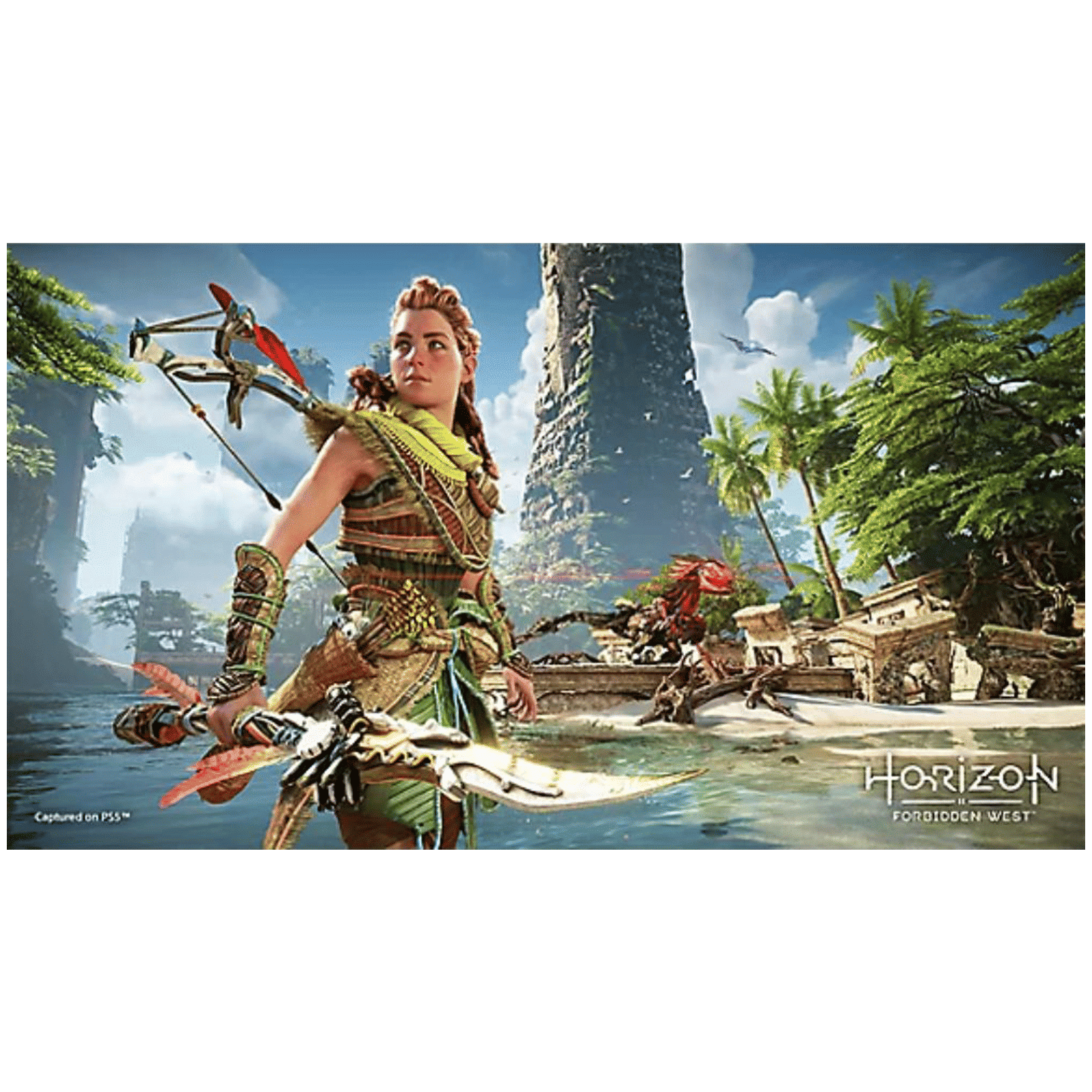 SONY Console With Horizon Forbidden West Voucher For PS5 (Action & Adventure Games, CFI-1108A01)_2