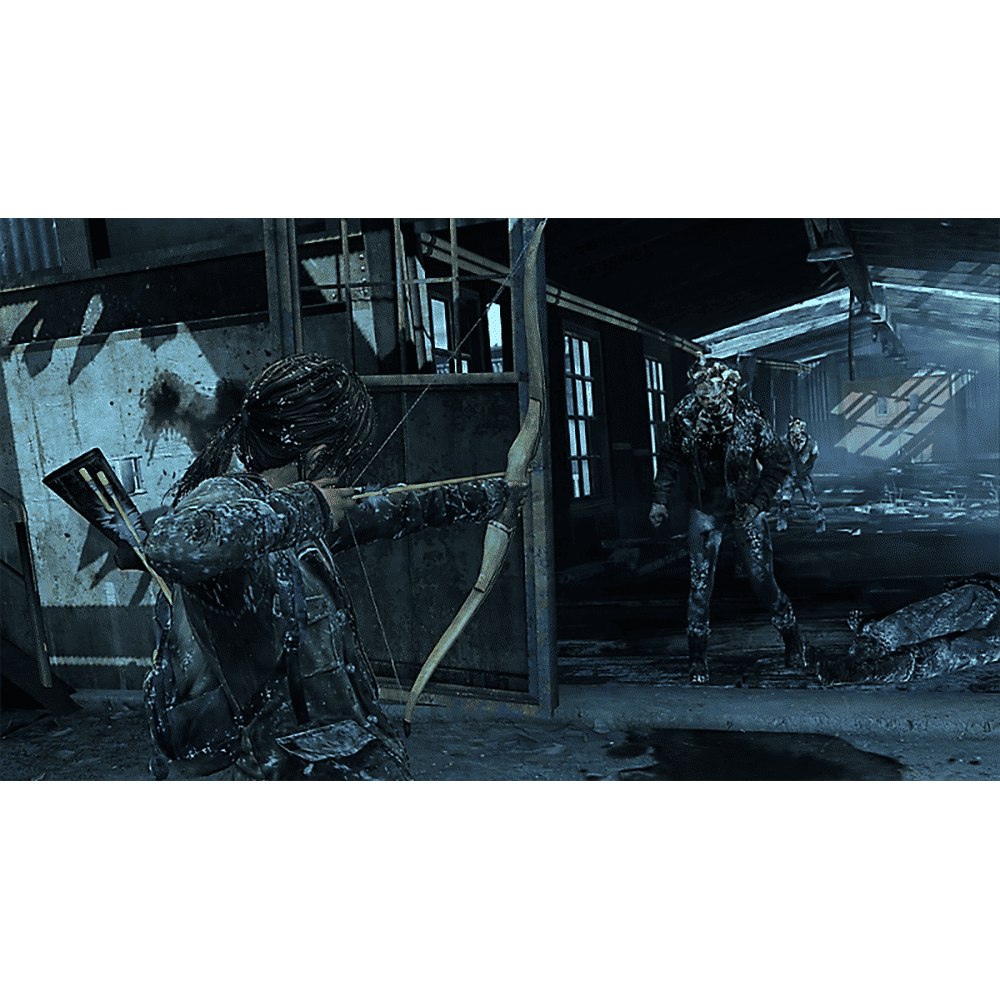 PS4 Game (The Last Of Us: Remastered)_14
