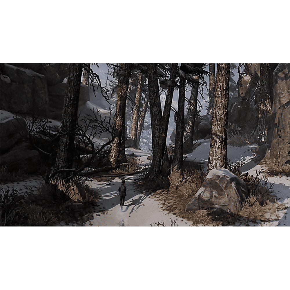 PS4 Game (The Last Of Us: Remastered)_15