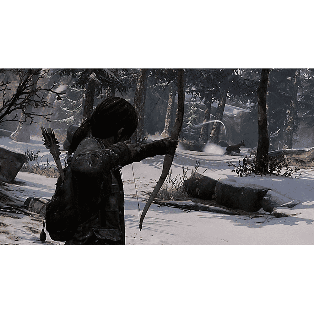 PS4 Game (The Last Of Us: Remastered)_4