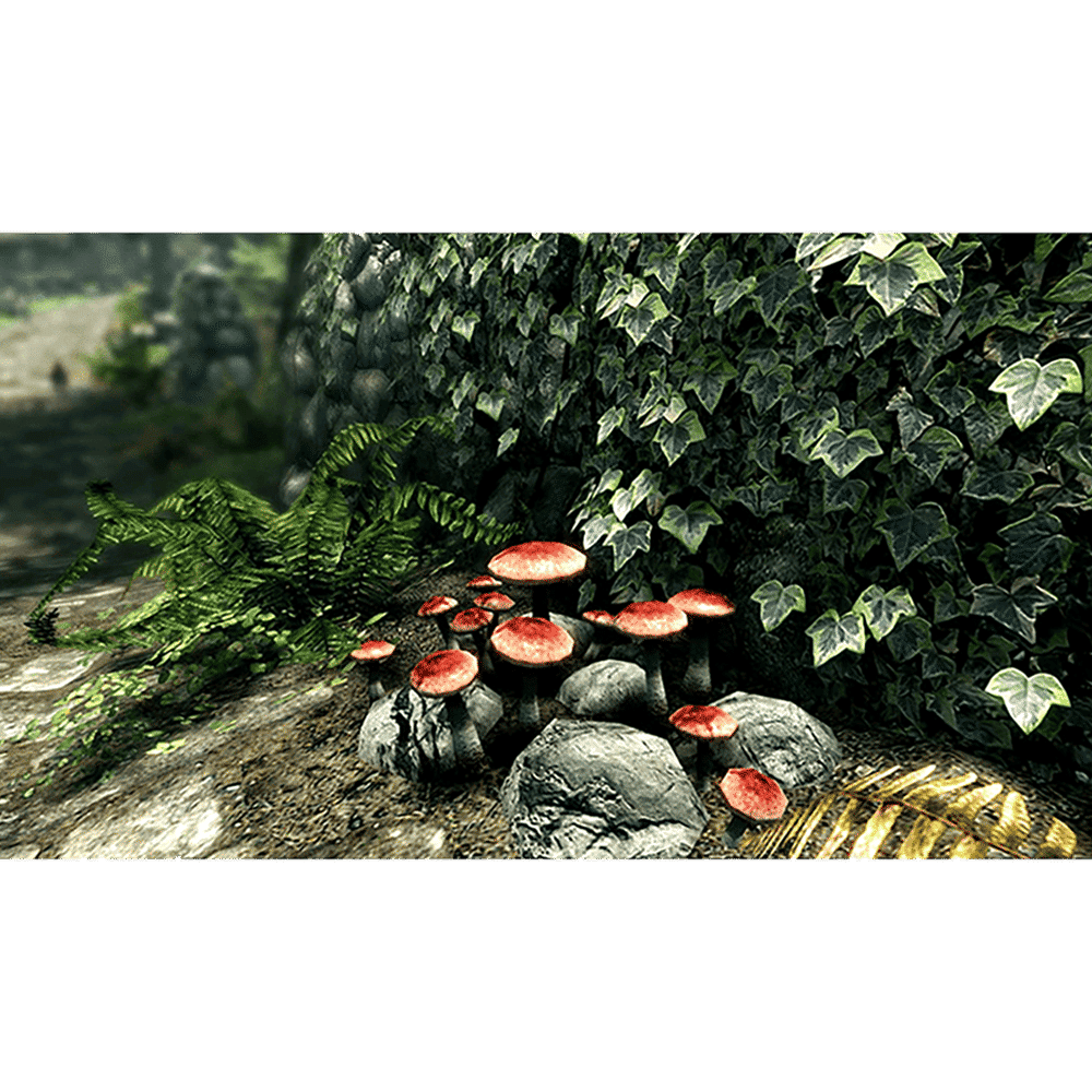 Bethesda PS4 Game (Elder Scrolls V: Skyrim - Special Edition)_10