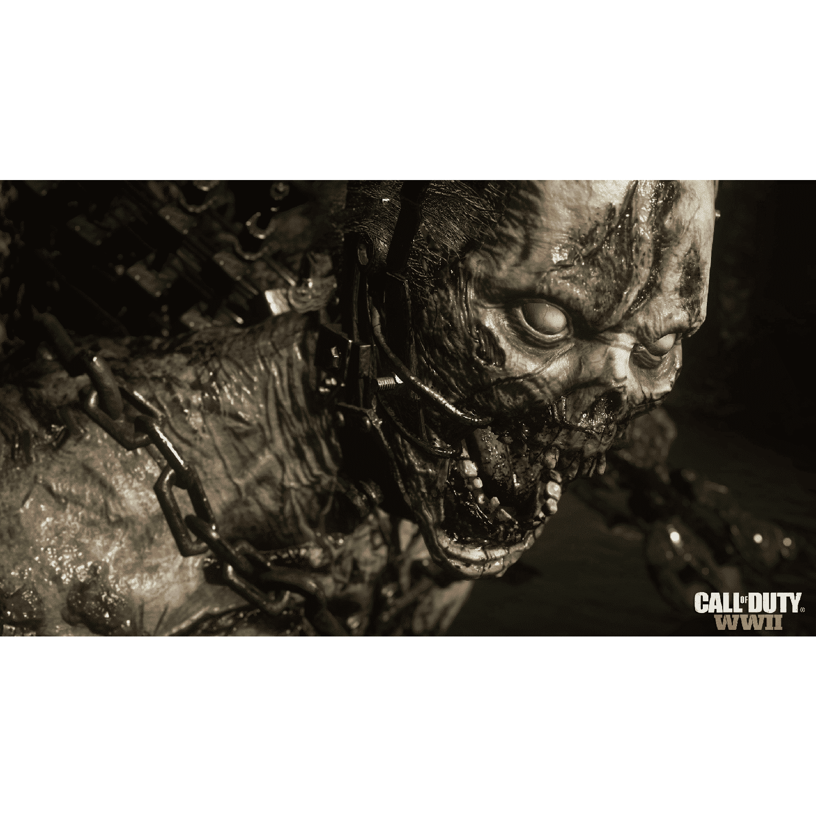 ACTIVISION PC Game (Call of Duty: World War 2)_3