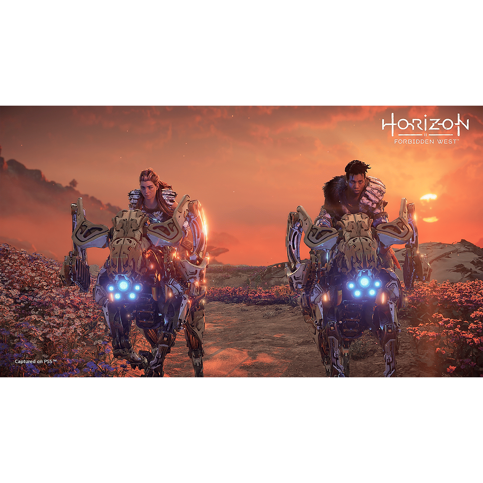 SONY Horizon Forbidden West For PS5 (Action and Adventure Games, Standard Edition, 50668464) SONY Horizon Forbidden West For PS5 (Action and Adventure Games, Standard Edition, 50668464)_8