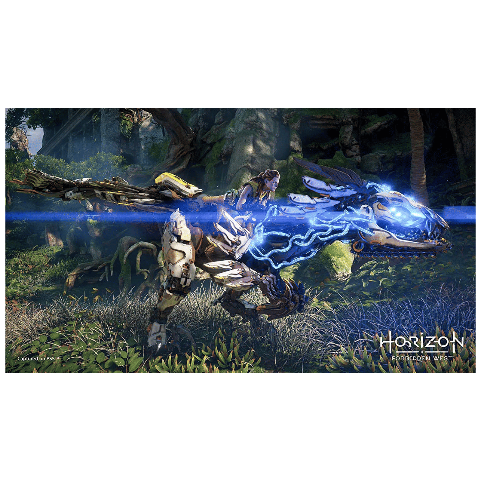 SONY Horizon Forbidden West For PS5 (Action and Adventure Games, Standard Edition, 50668464) SONY Horizon Forbidden West For PS5 (Action and Adventure Games, Standard Edition, 50668464)_9