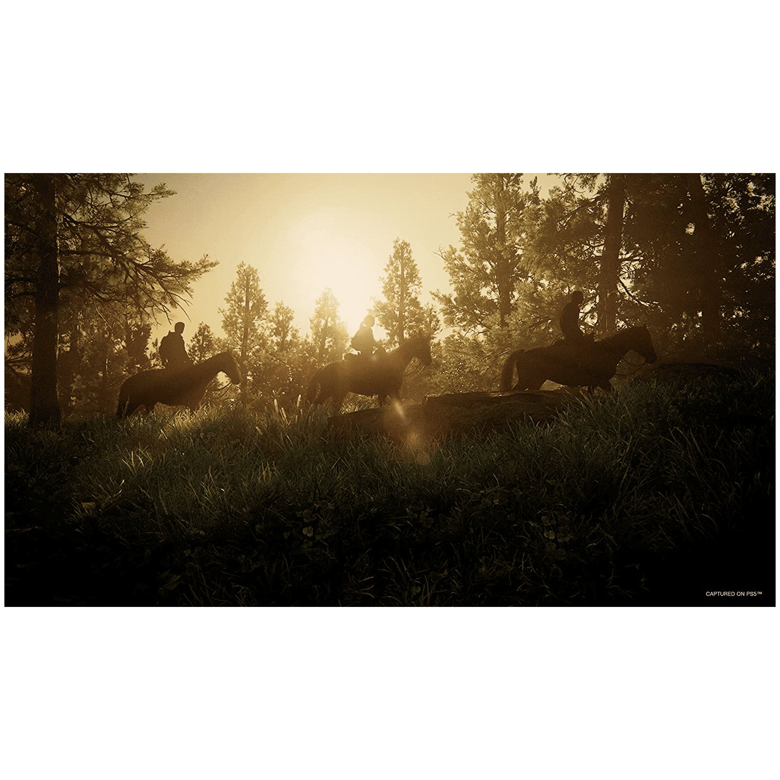 SONY The Last Of Us Part 1 For PS5 (Action-Adventure Game, 50668583, Standard Edition)_5