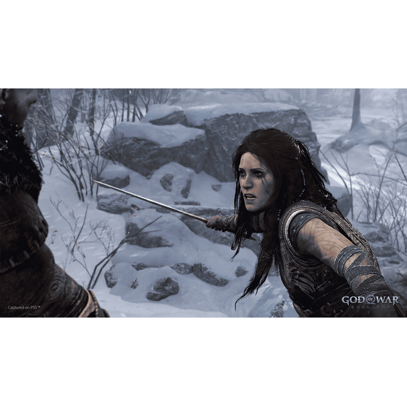 SONY God Of War Ragnarok for PS4 (Action, Adventure, Launch Edition, 50668578)_10